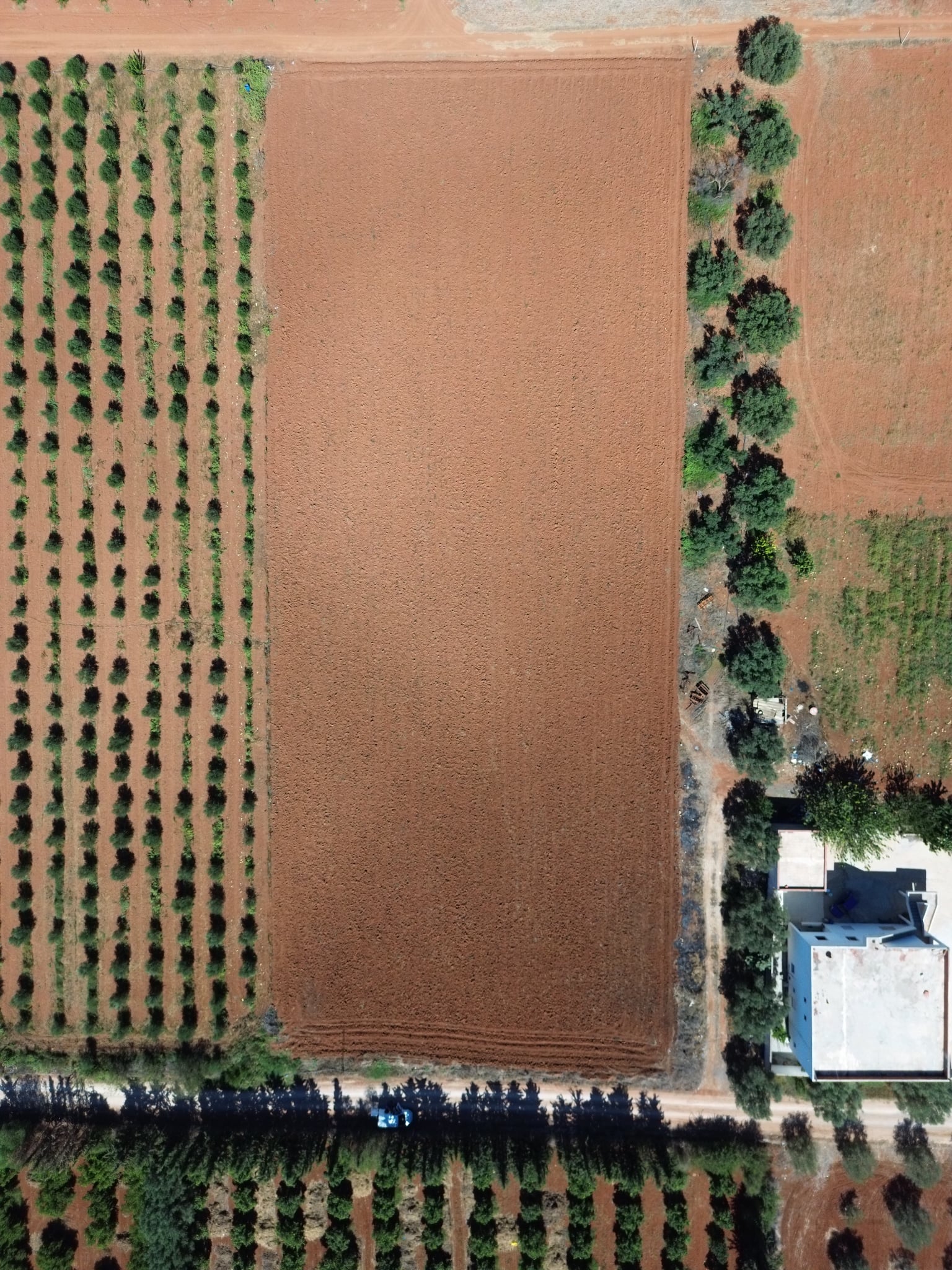 Sidi Thabet Sidi Thabet Terrain Terrain agricole Superbe terrain avec certificat de proprit
