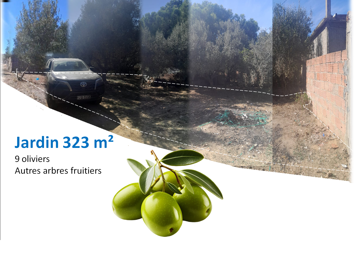 Bizerte Sud Louata Vente Maisons Maison avec jardin