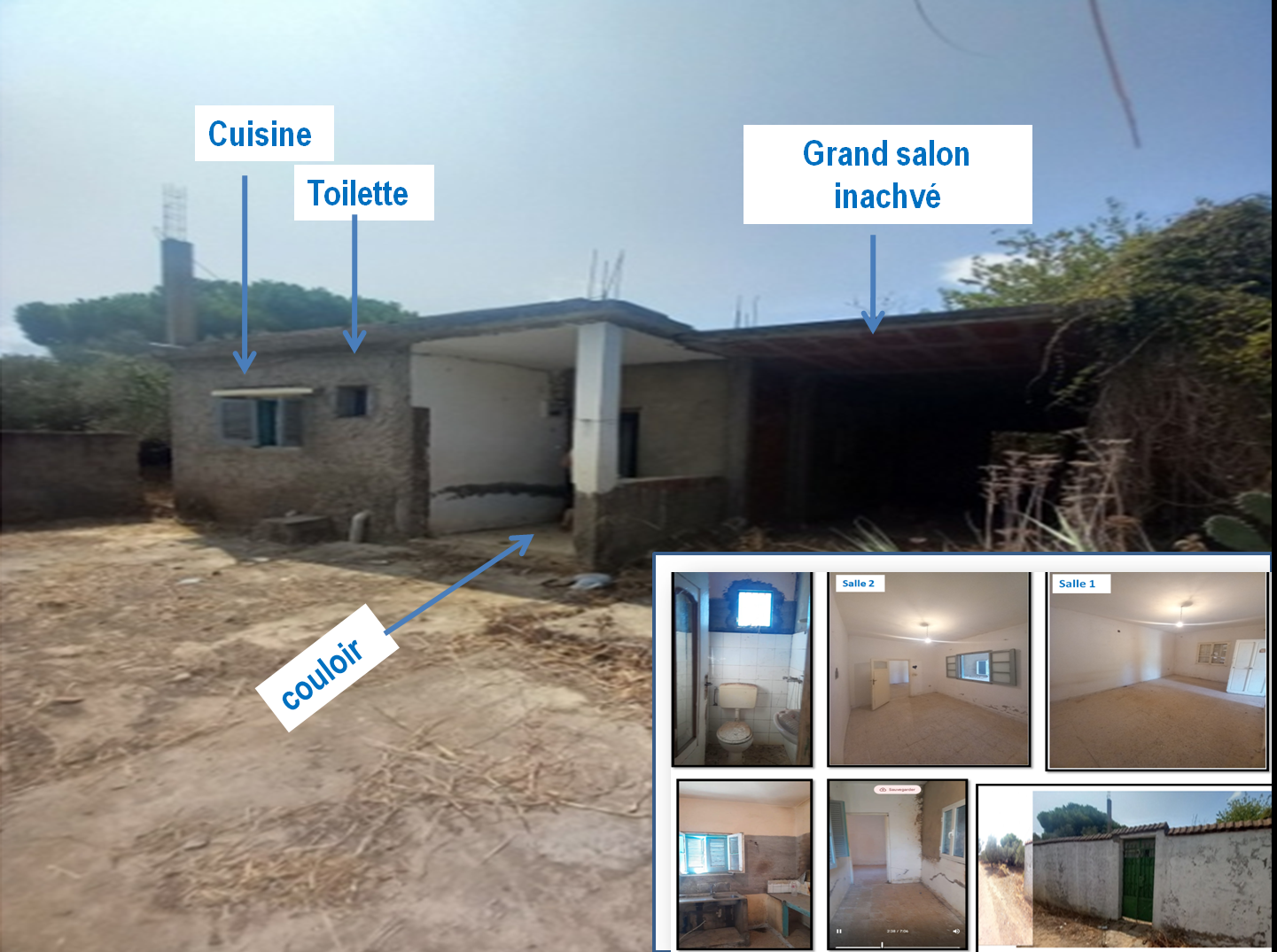 Bizerte Sud Louata Vente Maisons Maison avec jardin