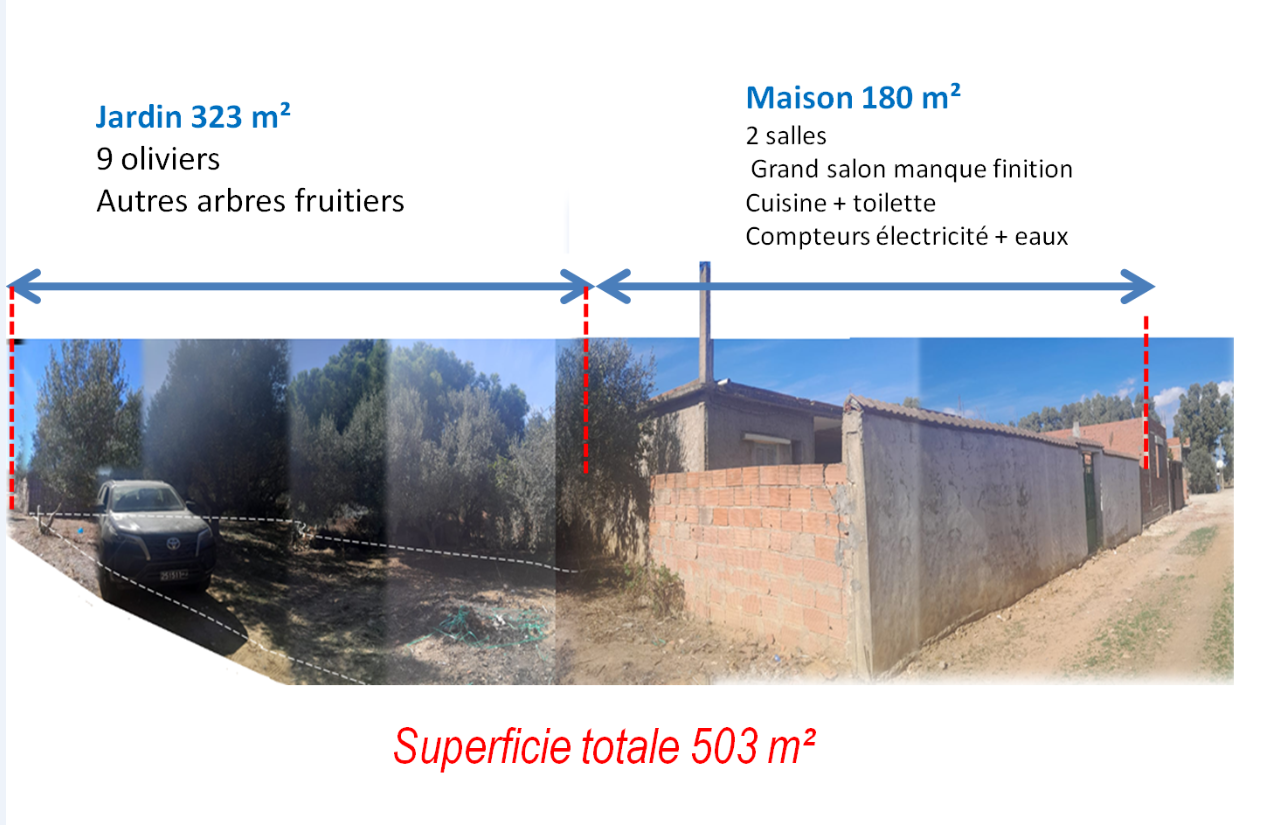 Bizerte Sud Louata Vente Maisons Maison avec jardin