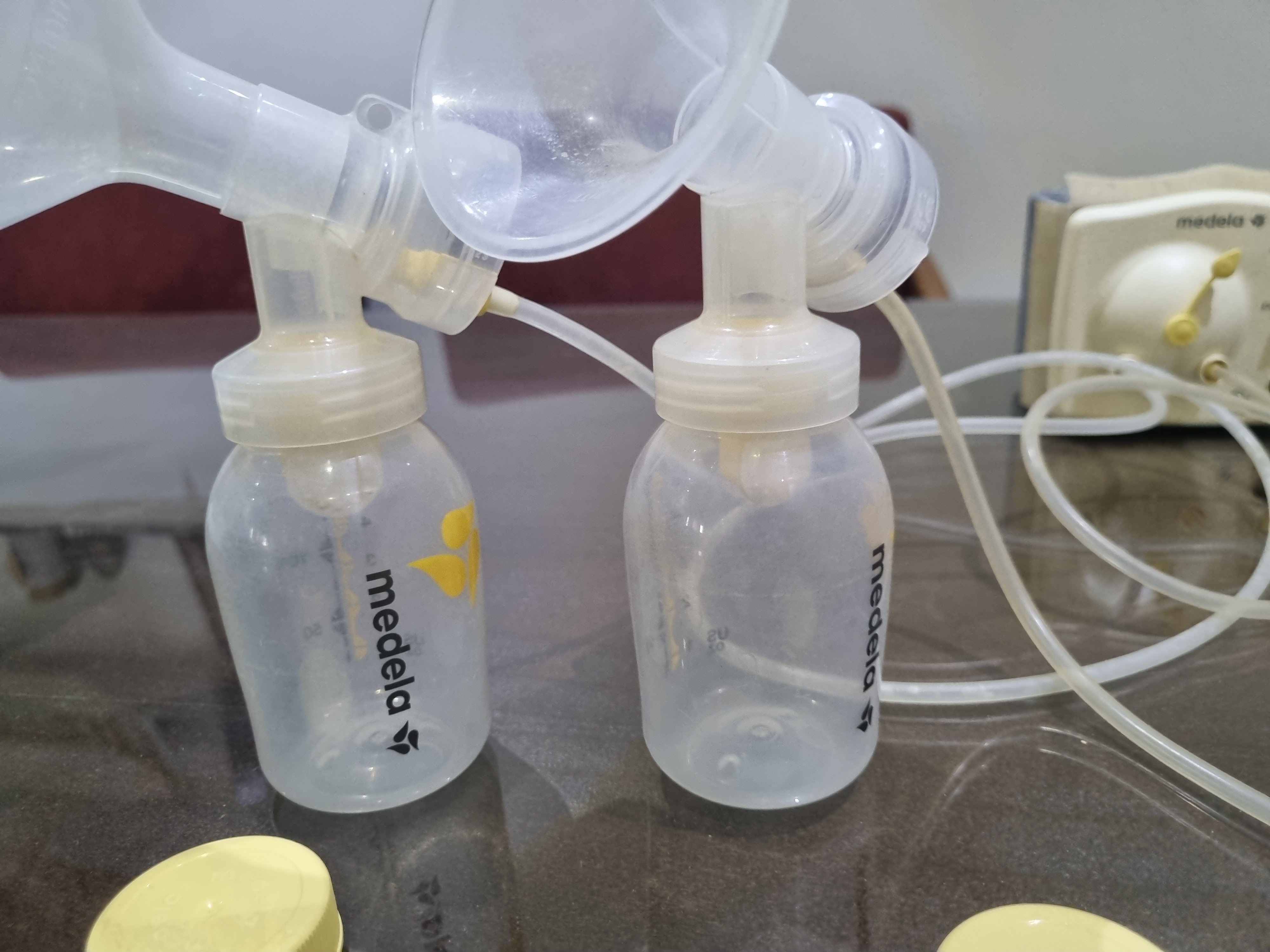 El Menzah El Menzah 9 Autres Autre Tire  lait lectrique