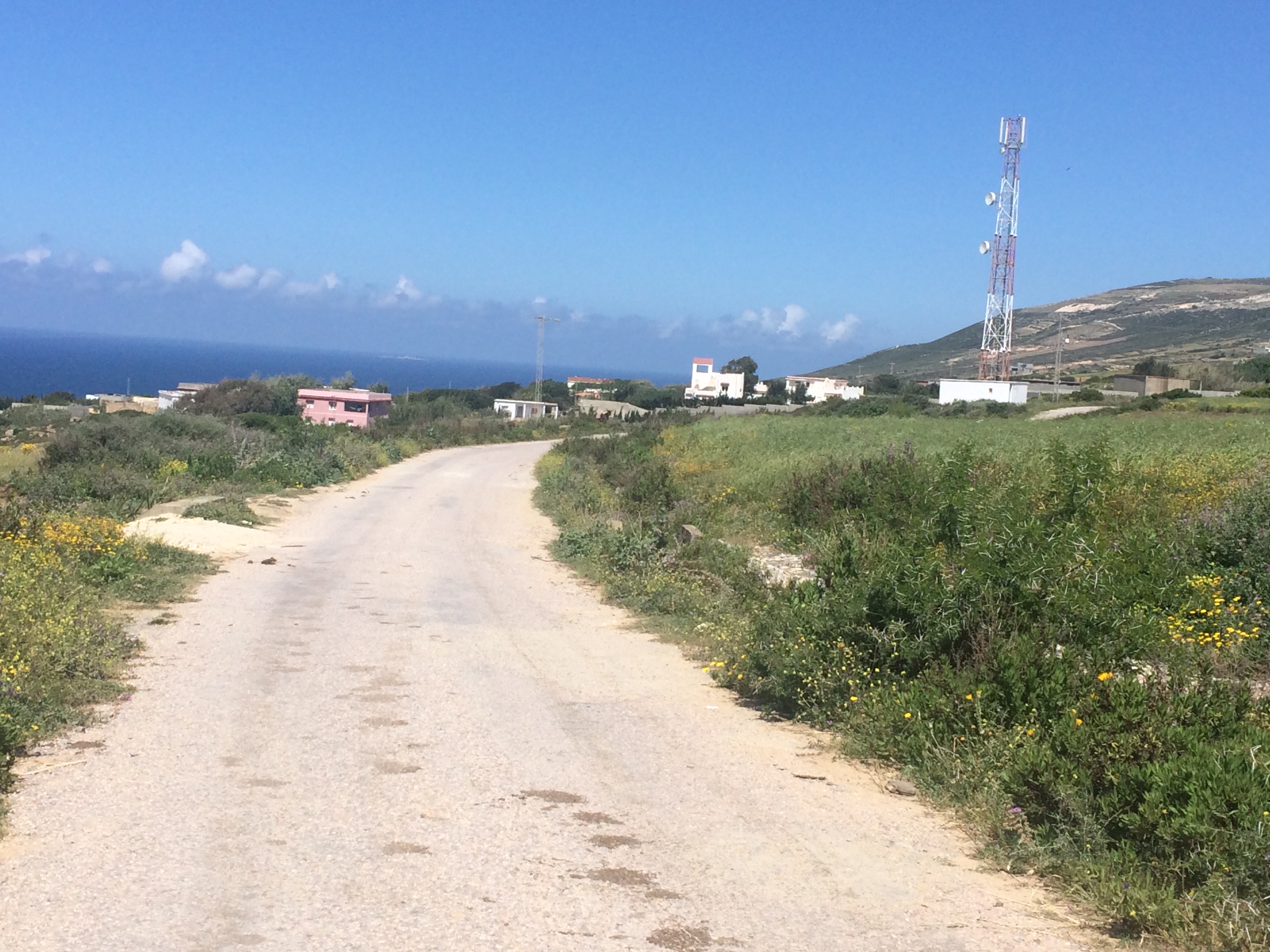 Bizerte Nord Bizerte Terrain Terrain nu Terrain  3500m a demna metline bizerte