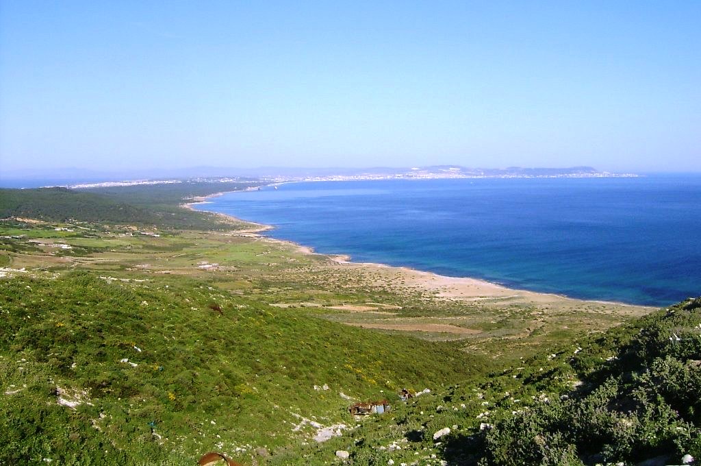 Bizerte Nord Bizerte Terrain Terrain nu Terrain  3500m a demna metline bizerte