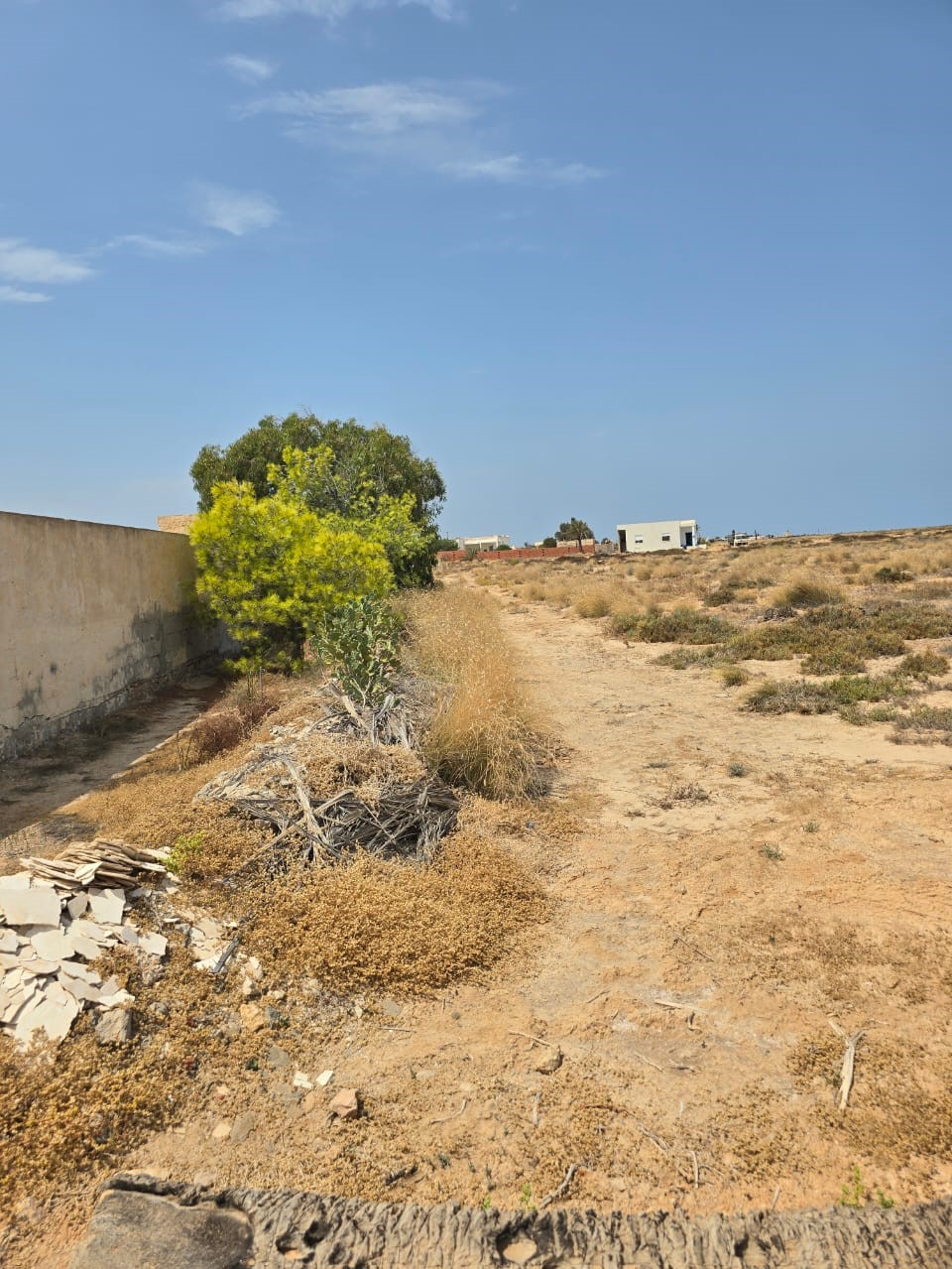 Kerkenah Jouaber Terrain Terrain nu Terrain  kerkennah emplacement idal plage sidi