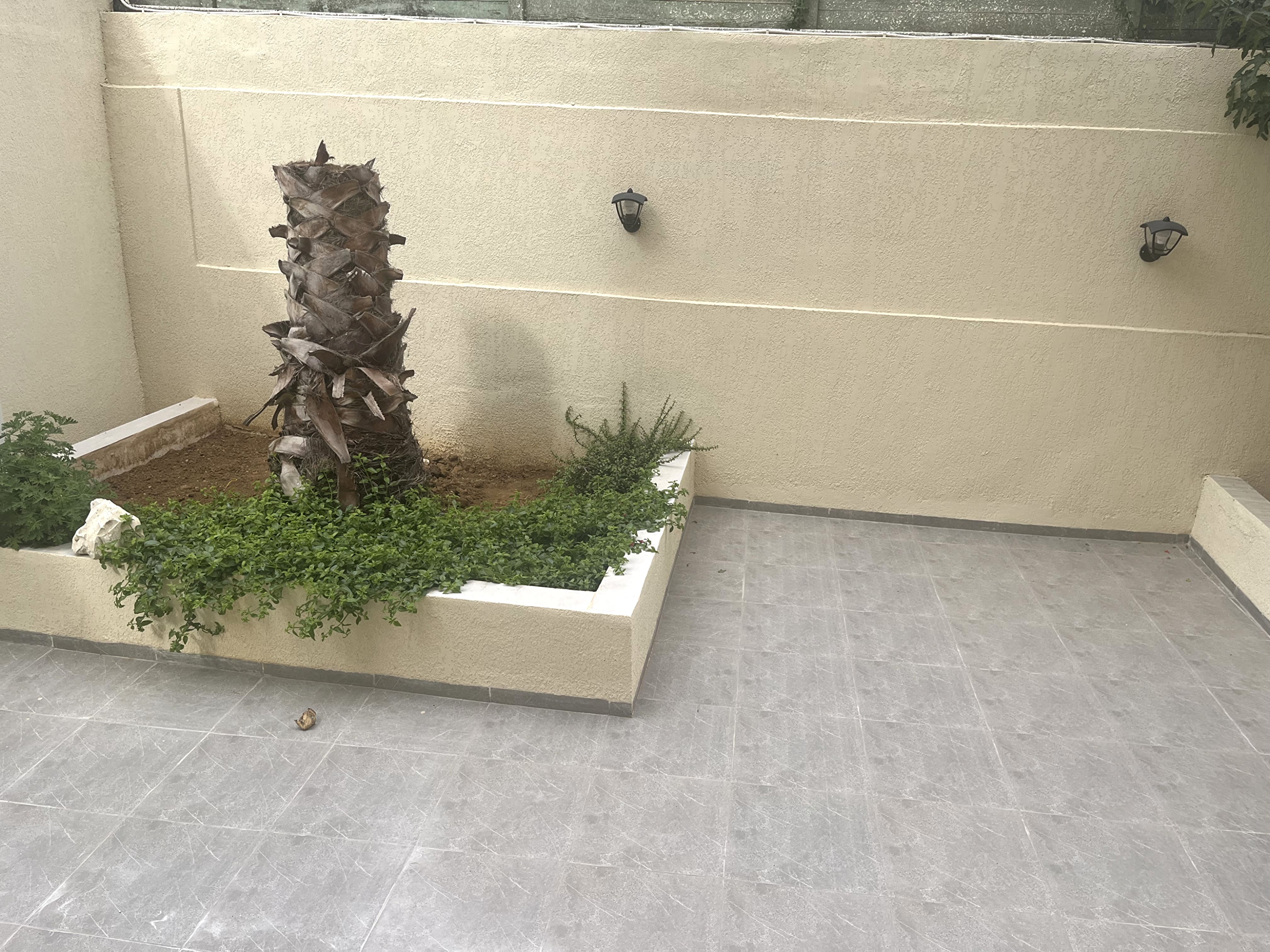 Ariana Ville El Menzah 5 Location Maisons Rdc s3 avec jardin a menzah 5 bureautique