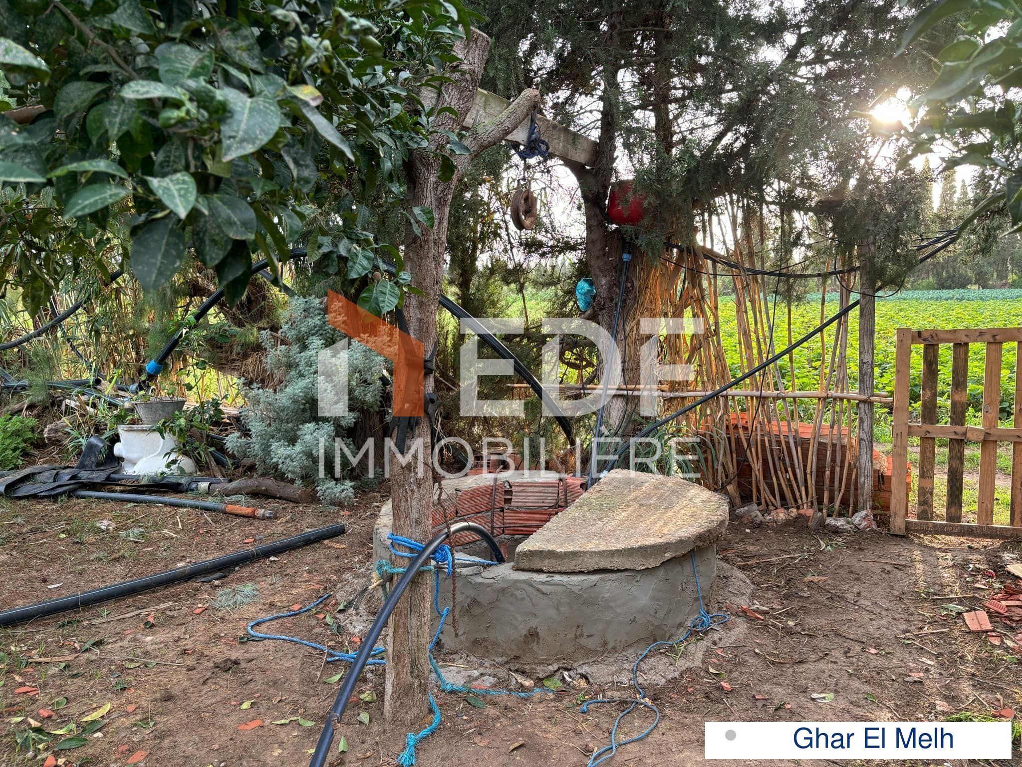 Ghar El Melh Ghar El Melh Terrain Terrain agricole Senia   ghar el melh
