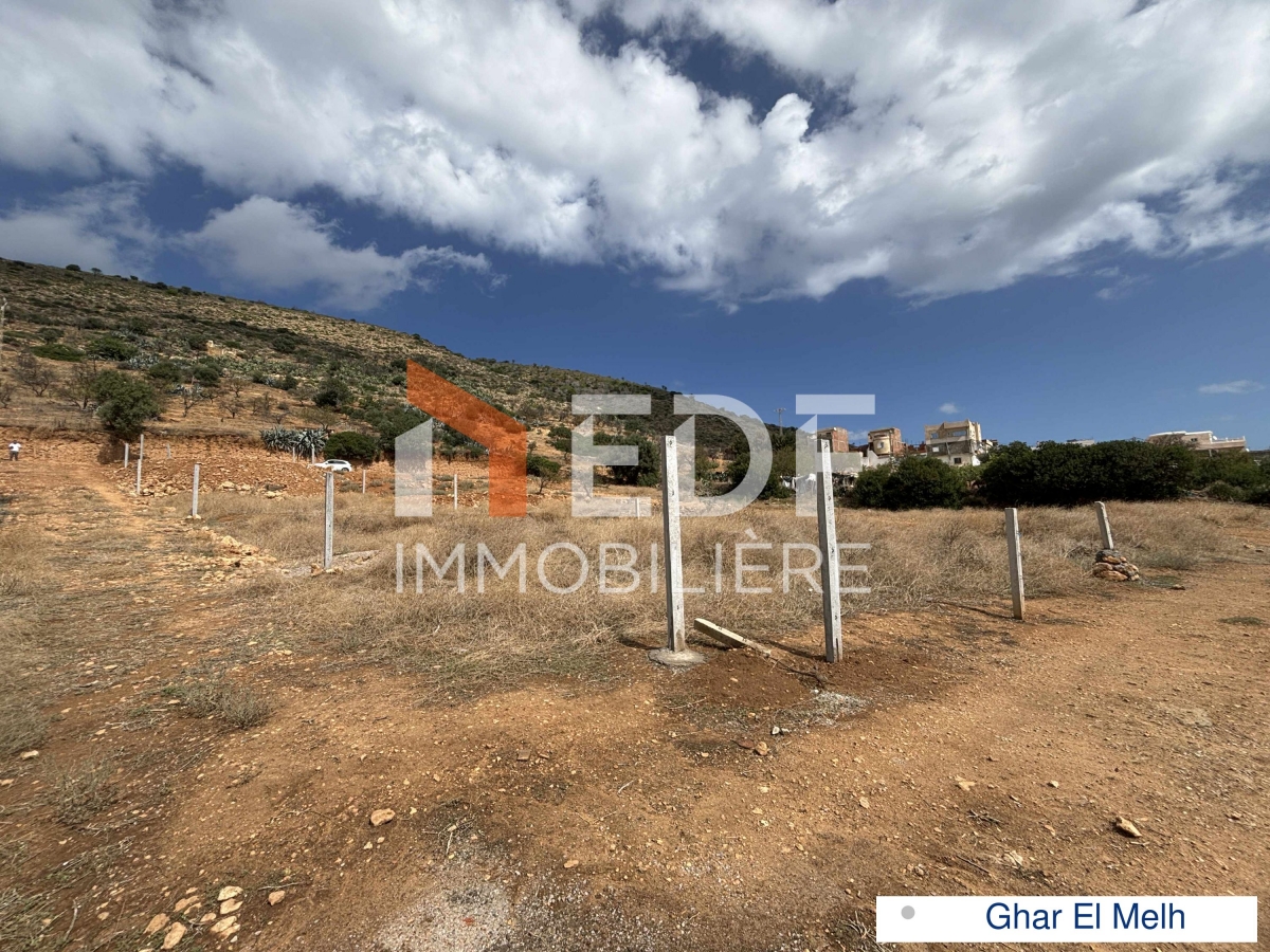 Ghar El Melh Ghar El Melh Terrain Terrain nu Lotissement constructibles  ghar el melh