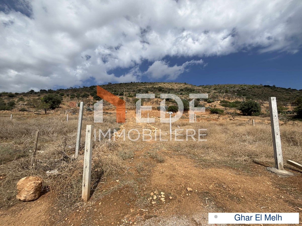Ghar El Melh Ghar El Melh Terrain Terrain nu Lotissement constructibles  ghar el melh