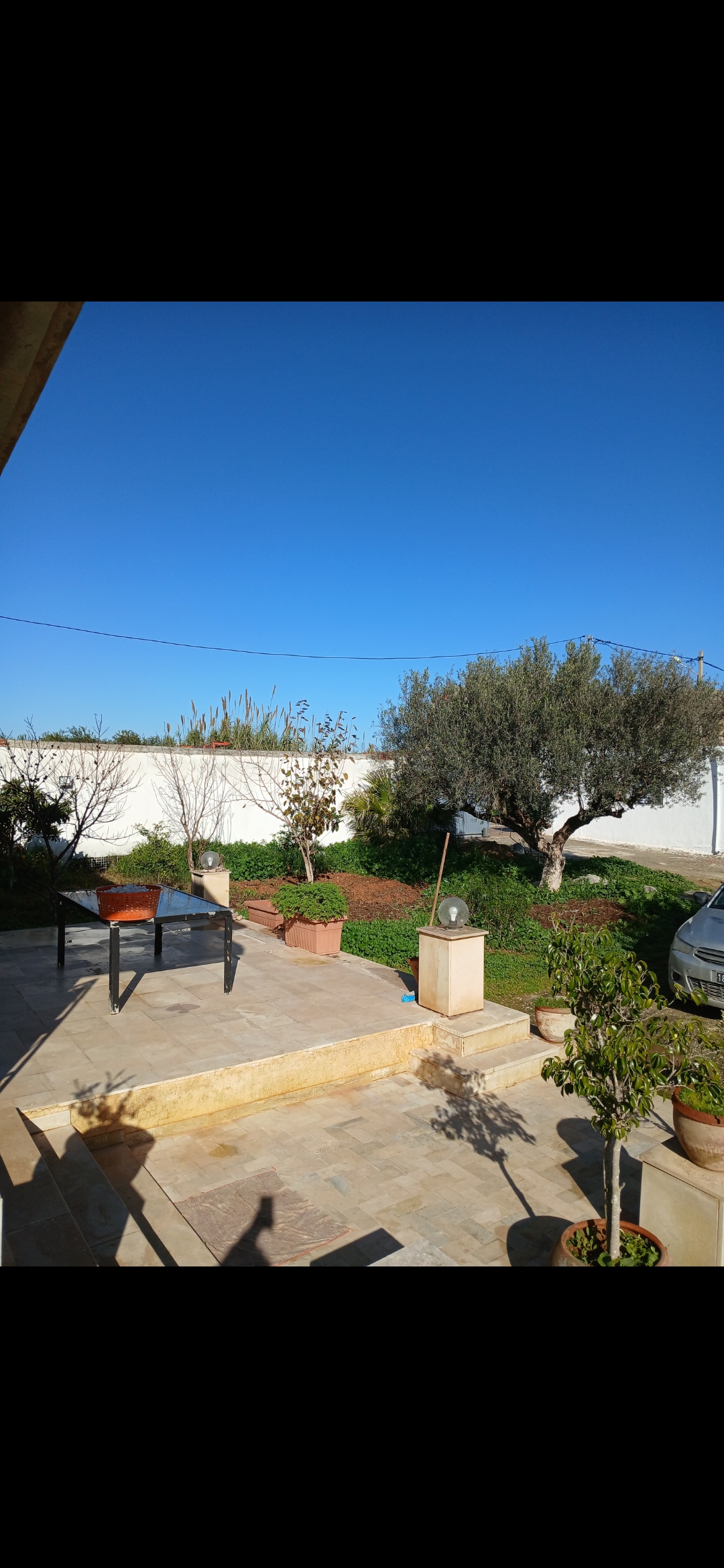 Raoued Borj Touil Vente Maisons Terrain avec maison a borjtouil