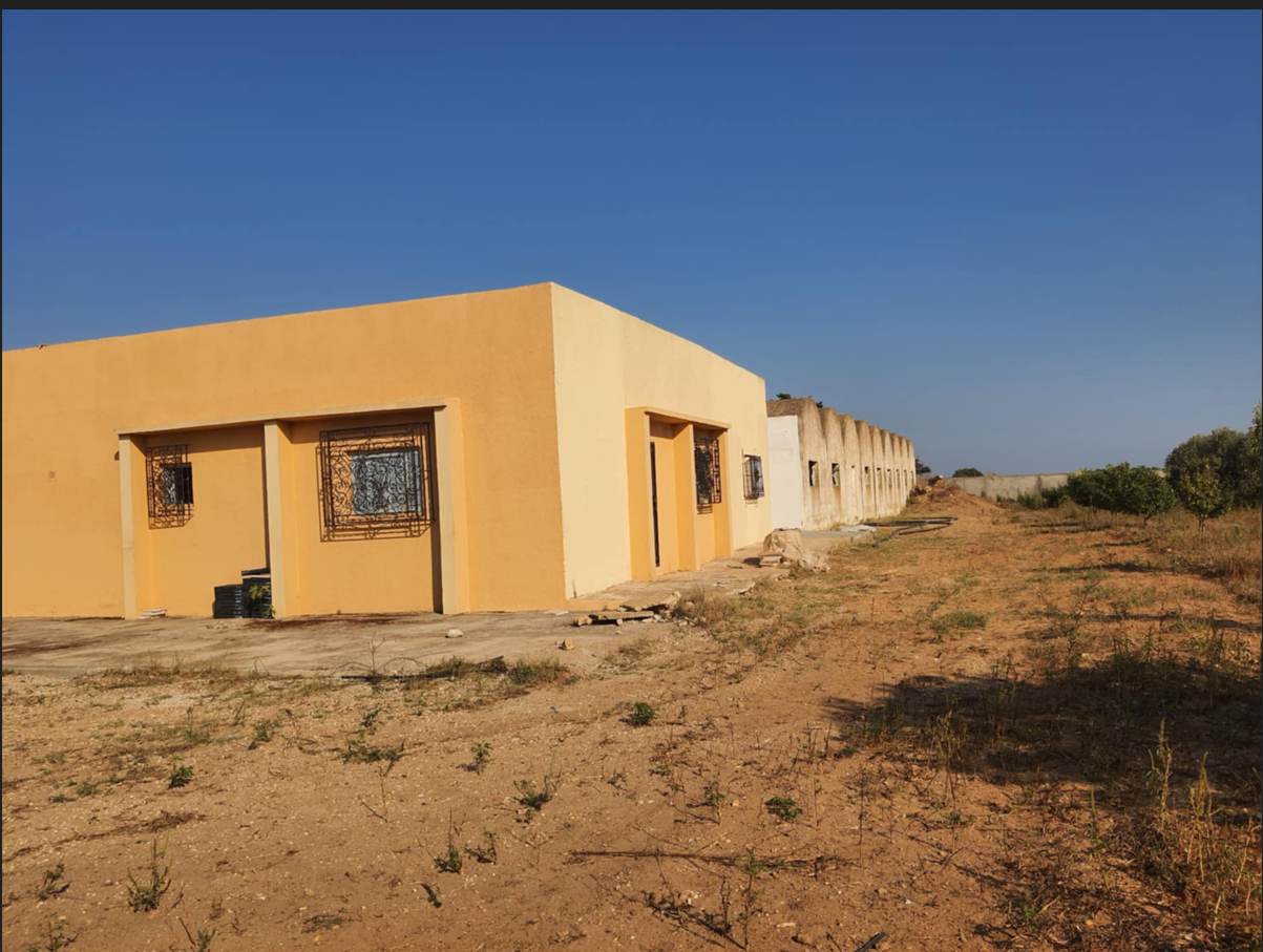 Hammam El Ghezaz Hammam El Ghezaz Vente Surfaces Ferme  dar allouche