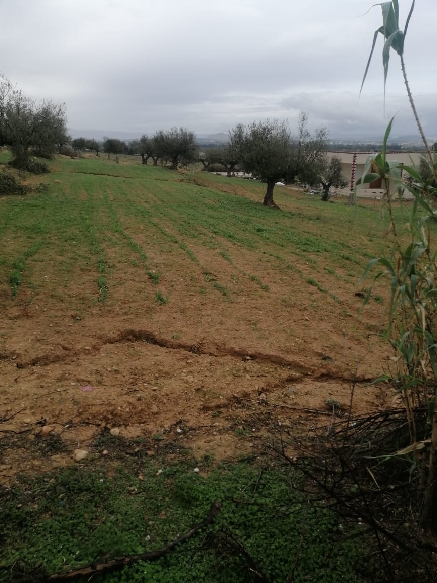 Mannouba La Mannouba Terrain Terrain agricole Terrain a hakaimiya