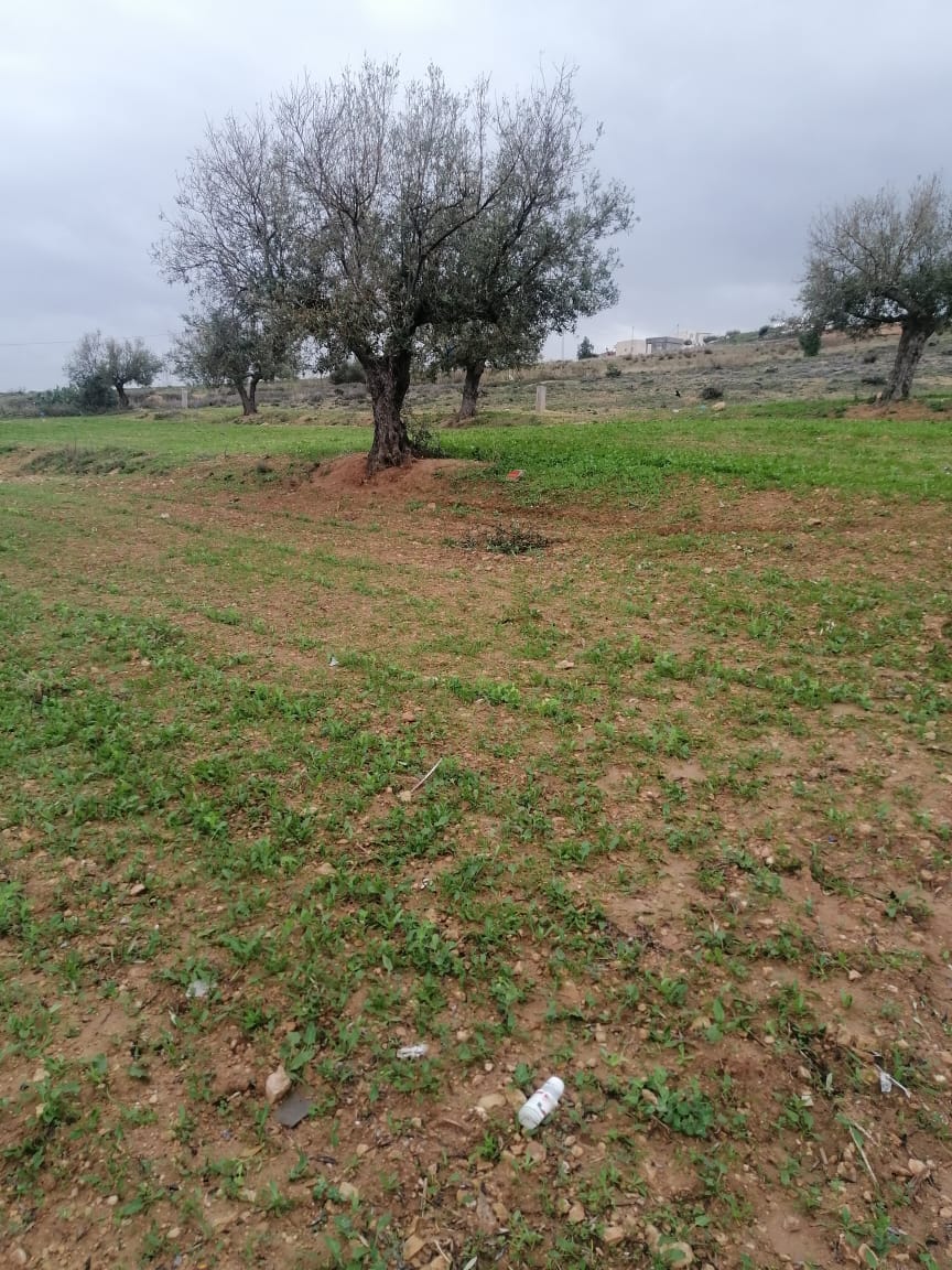 Mannouba La Mannouba Terrain Terrain agricole Terrain a hakaimiya