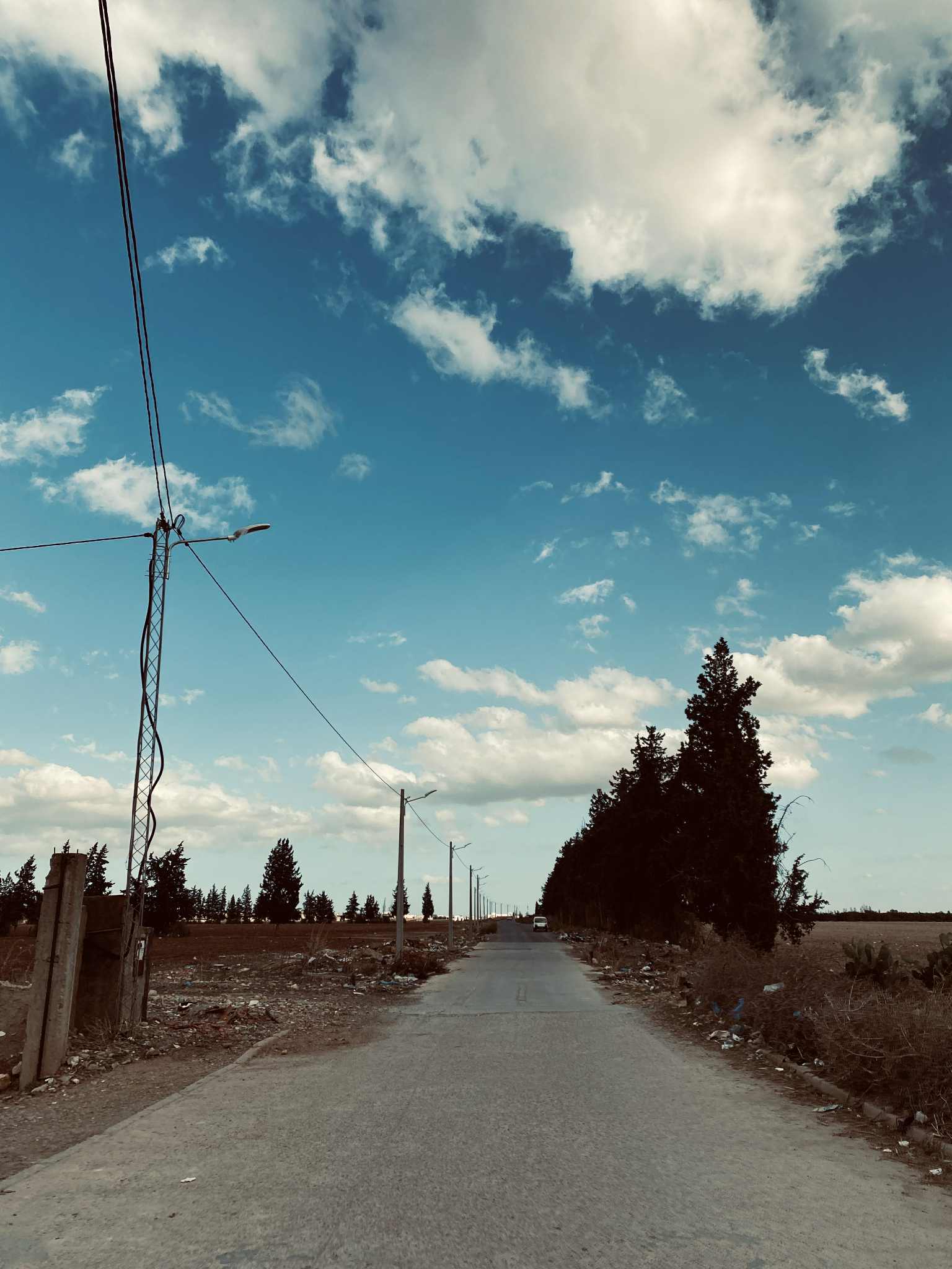 Oued Ellil Oued Ellil Vente Surfaces Terrain agricole  bjeoua oued ellil manouba