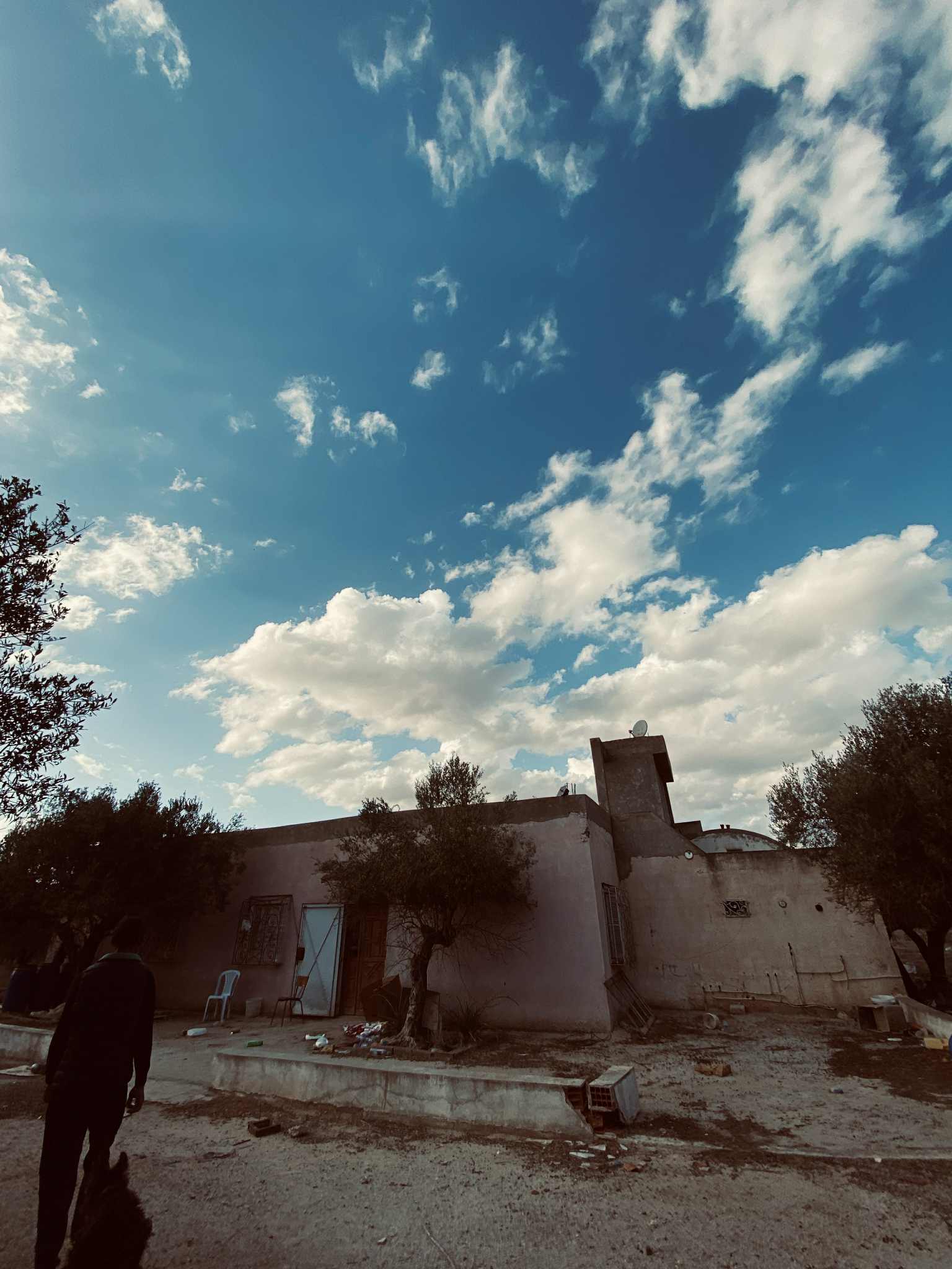 Oued Ellil Oued Ellil Vente Surfaces Terrain agricole  bjeoua oued ellil manouba