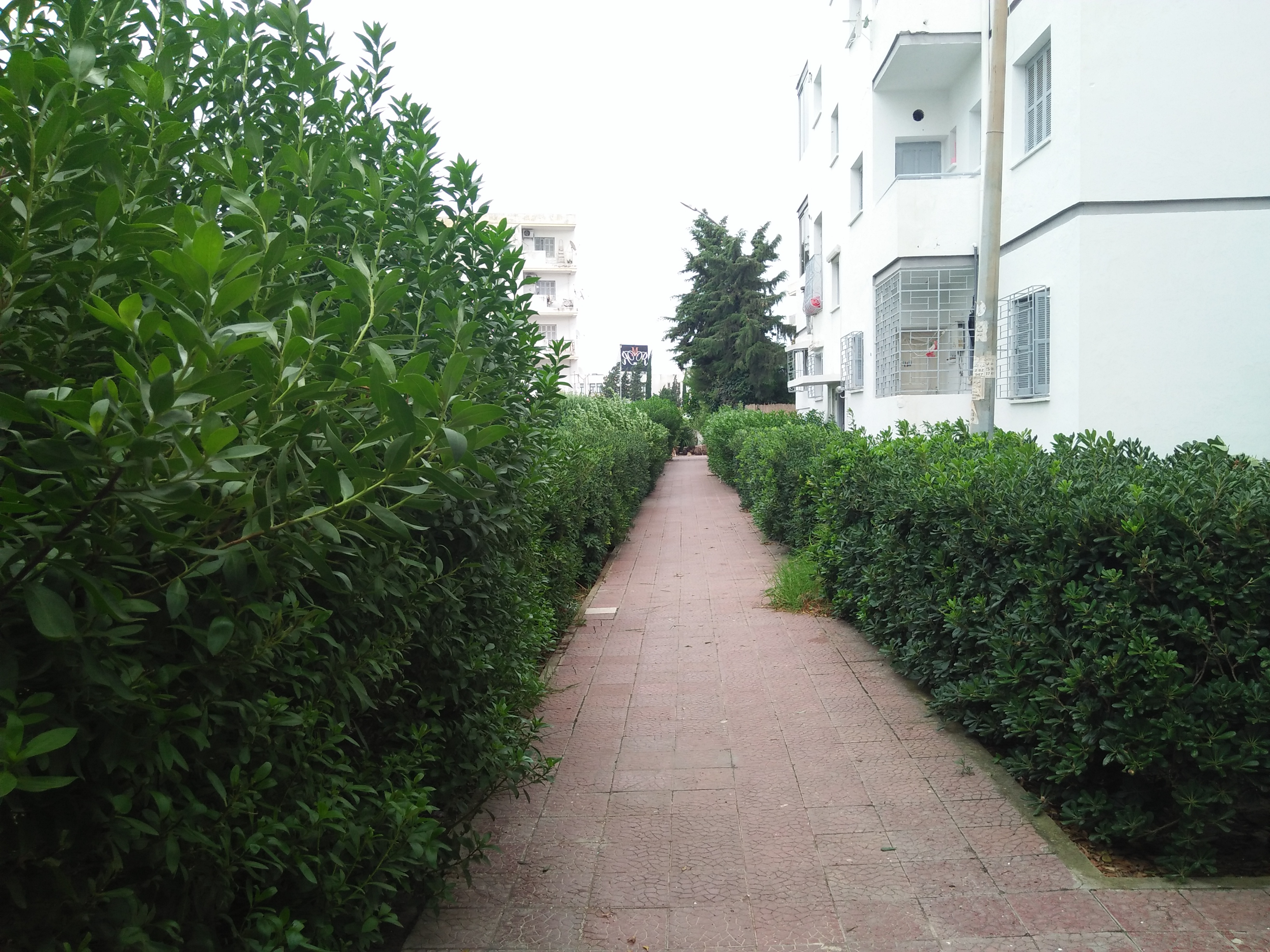 Cite El Khadra Cite El Khadra Location Appart. 3 pices Bel appartement s2 a cite el khadra