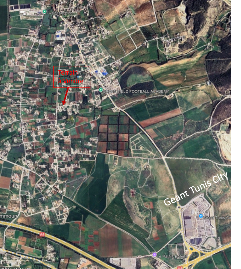 Raoued Borj Touil Terrain Terrain nu Affaire  saisir terrain nu