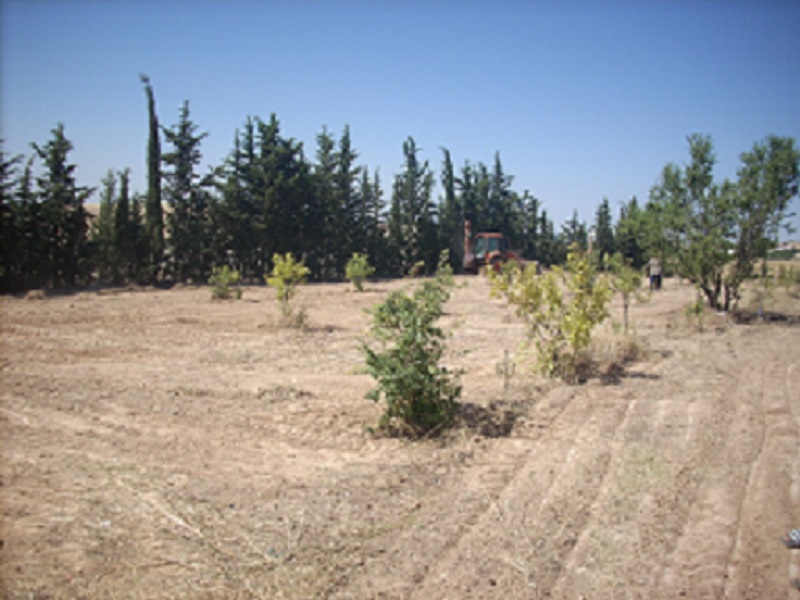 Le Kef Ouest Kef Ouest Terrain Terrain nu Tres joli terrain nu affaire d'avenir