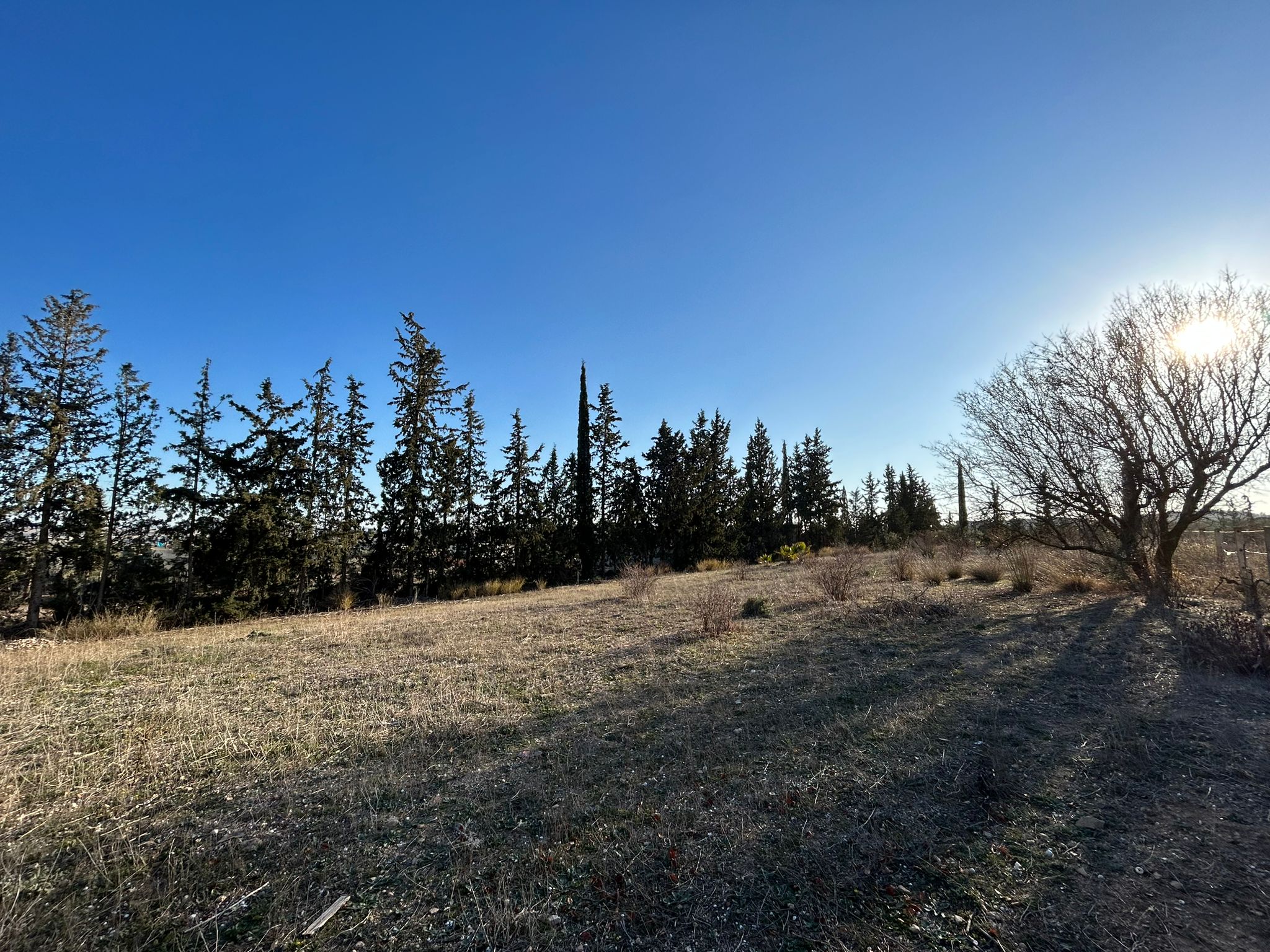 Le Kef Ouest Kef Ouest Terrain Terrain nu Tres joli terrain nu affaire d'avenir