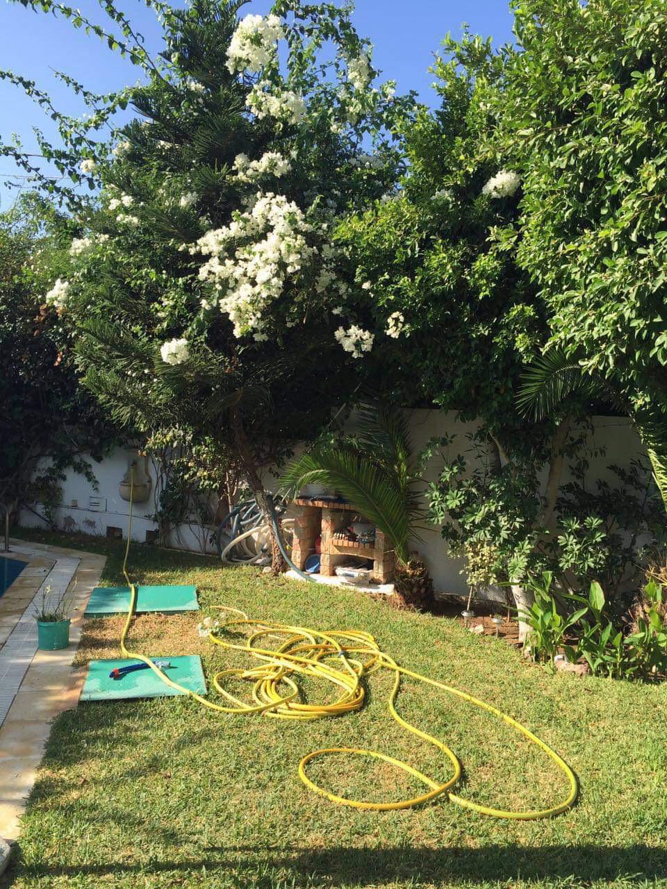 La Marsa Sidi Daoud Vente Maisons Superbe villa avec piscine  la marsa