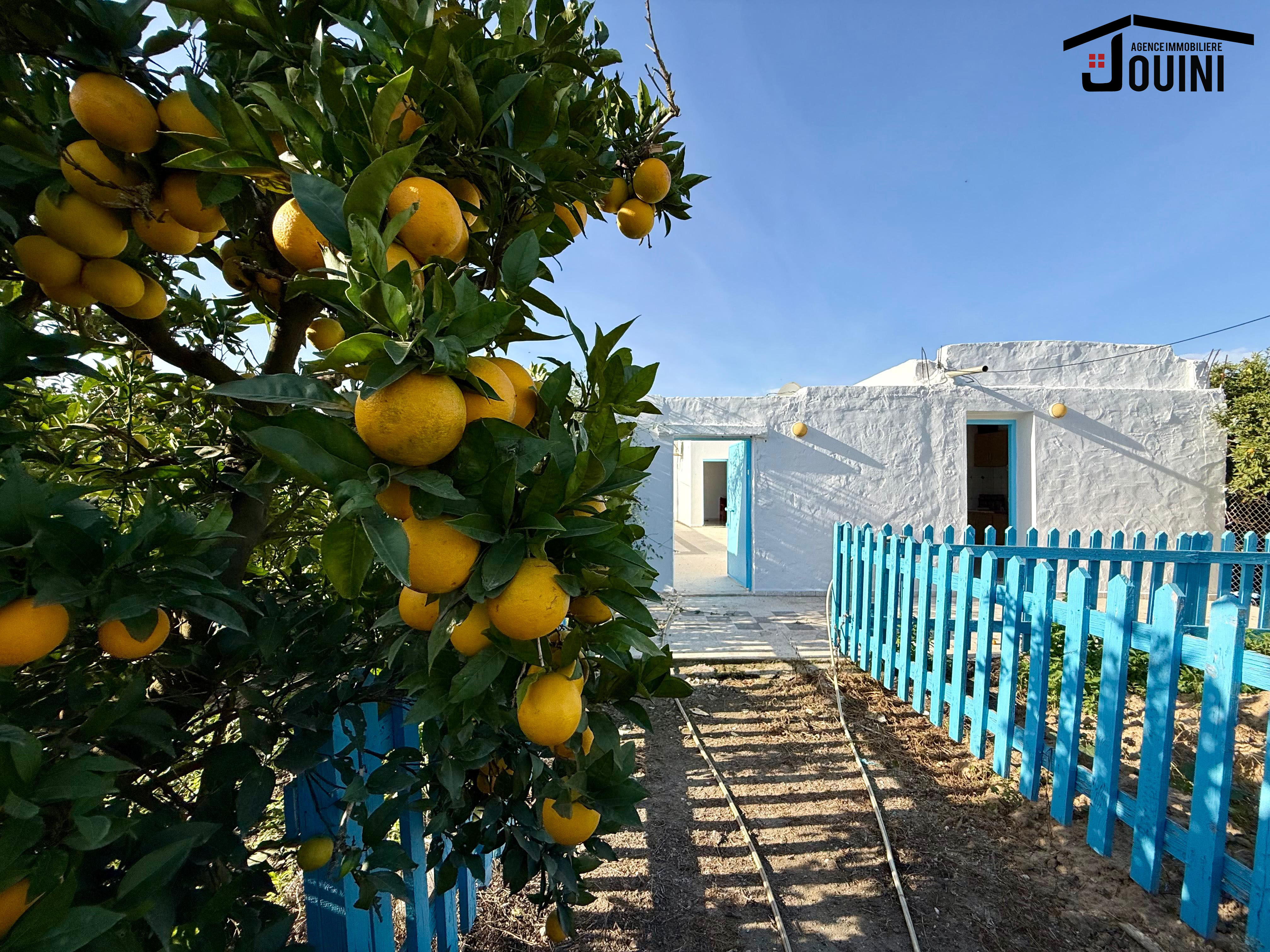 Beni Khalled Zaouiet Jedidi Terrain Terrain agricole Ferme agricole 11000 m2 zawiyet jdidi nabeul
