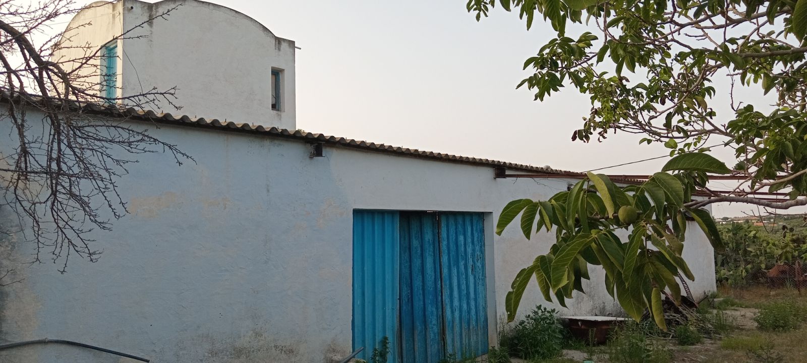 Bou Argoub Borj Hafaiedh Terrain Terrain agricole Verger un hectare et demi avec oliviers et agrumes