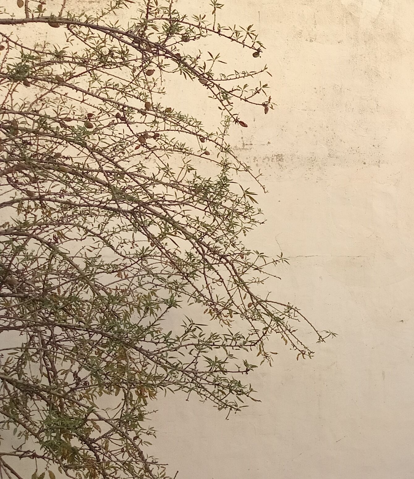 Hammamet Barraket Essahel Location Surfaces Local spacieux pour usine ou entrept