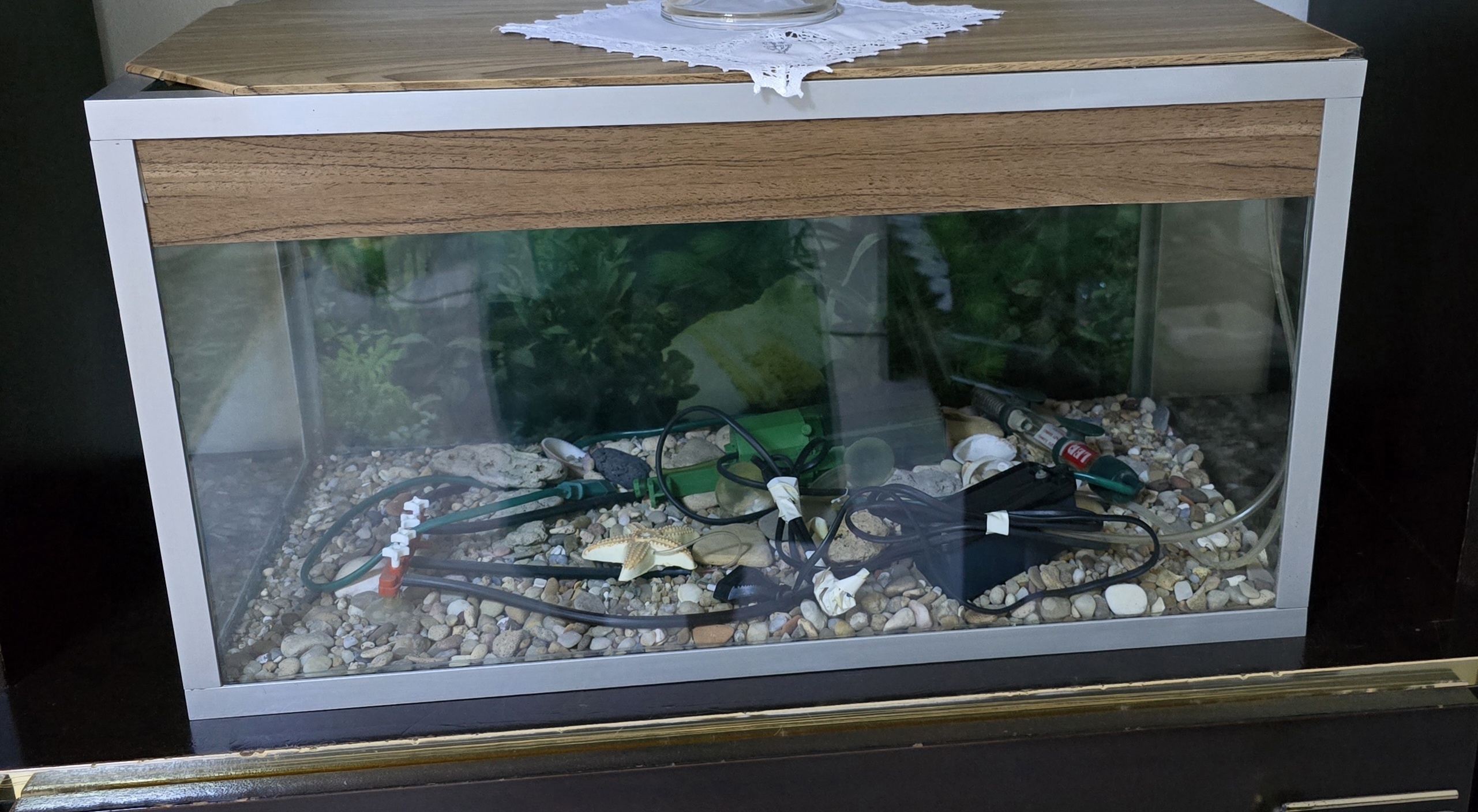 Mannouba Denden Autre Autre Aquarium neuf