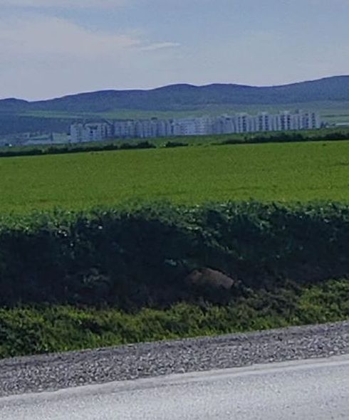 Mornaguia El Fejja Terrain Terrain agricole El fejja terrain unique