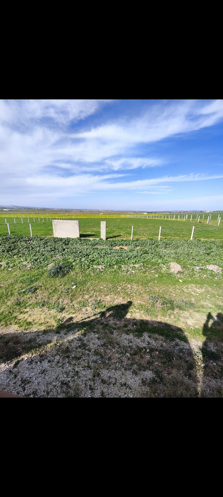 Mornaguia El Fejja Terrain Terrain agricole El fejja terrain unique