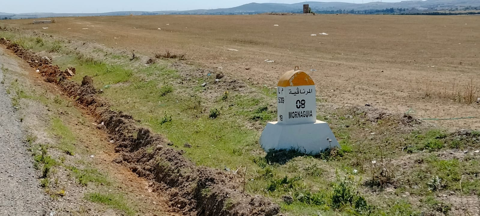 Mornaguia El Fejja Terrain Terrain agricole El fejja terrain unique