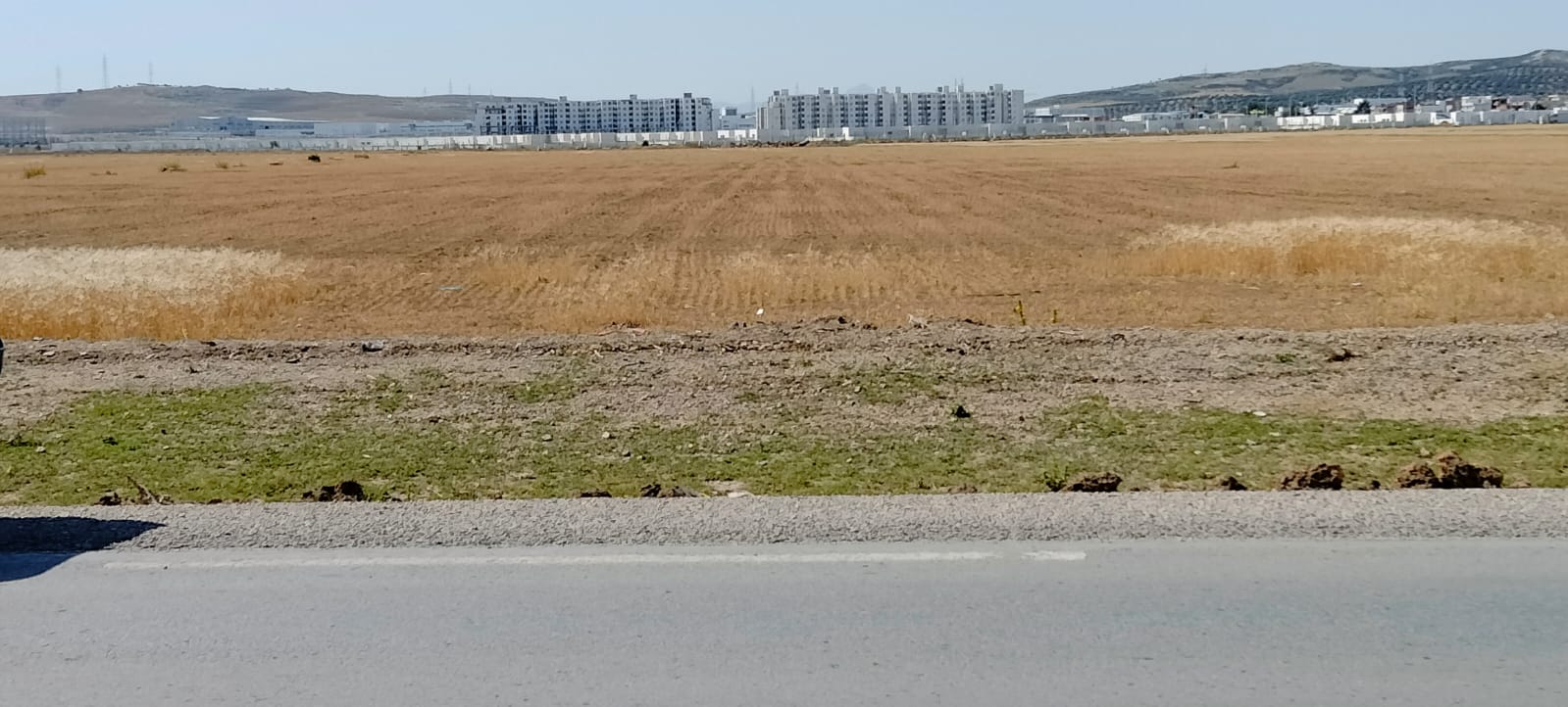 Mornaguia El Fejja Terrain Terrain nu Terrain el fejja prix unique