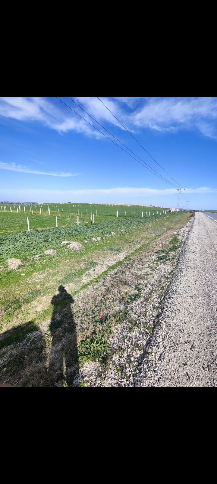 Mannouba La Mannouba Terrain Terrain nu Terrain zone habition el fejja