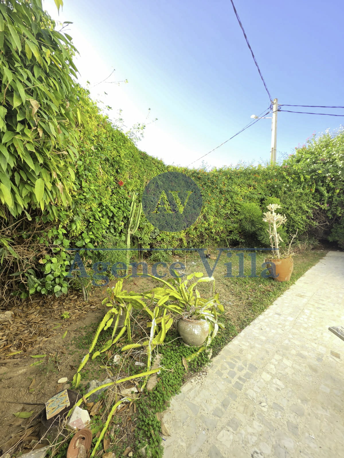 La Marsa&nbsp;Gammart&nbsp;Location&nbsp;Maisons&nbsp;Une villa s6 � gammarth avec piscine et jardin