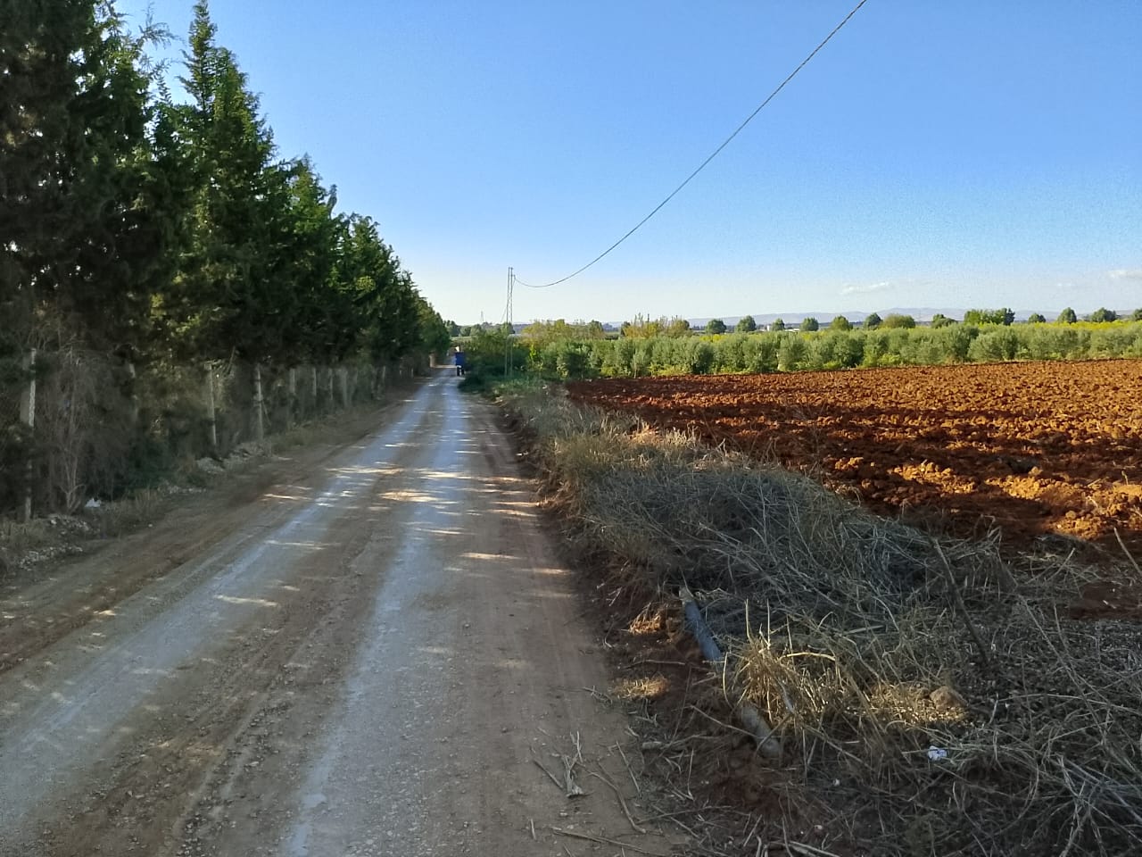 Sidi Thabet Sidi Thabet Terrain Terrain nu Lots de terrain de 1000 m situs  sidi thabet