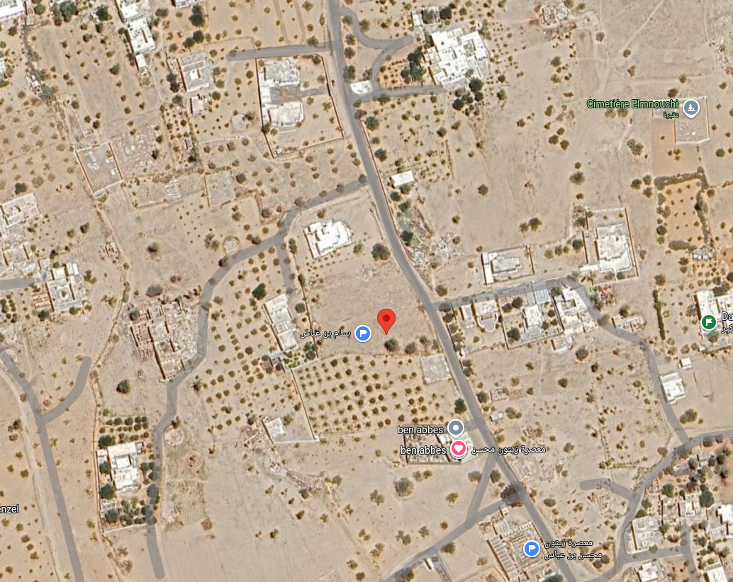 Djerba - Houmet Essouk Oualegh Terrain Terrain agricole Terrain 2539 m avec chahadet melkiya negociable