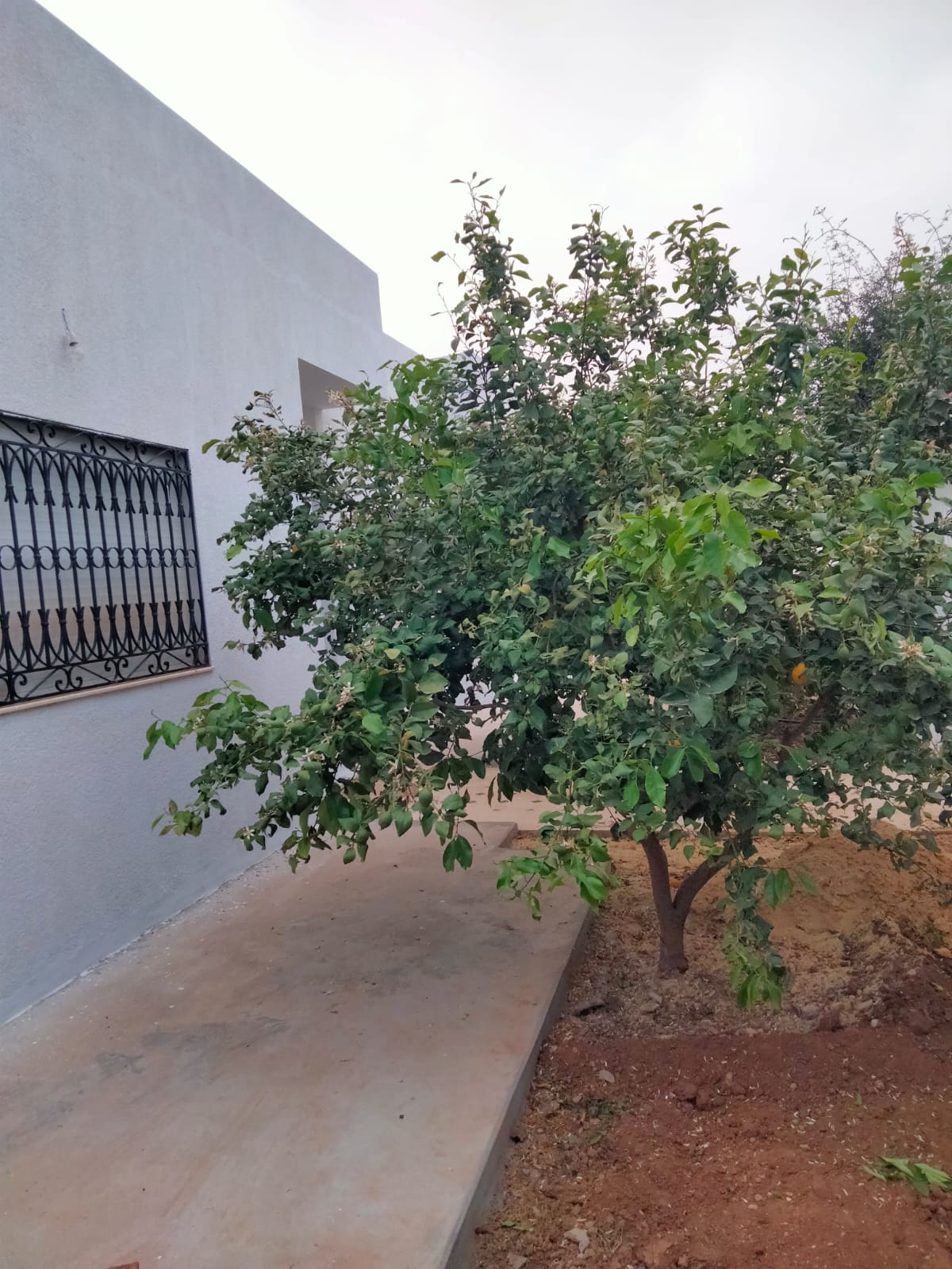 Raoued Borj Touil Vente Autre Superbe villa  borj touil