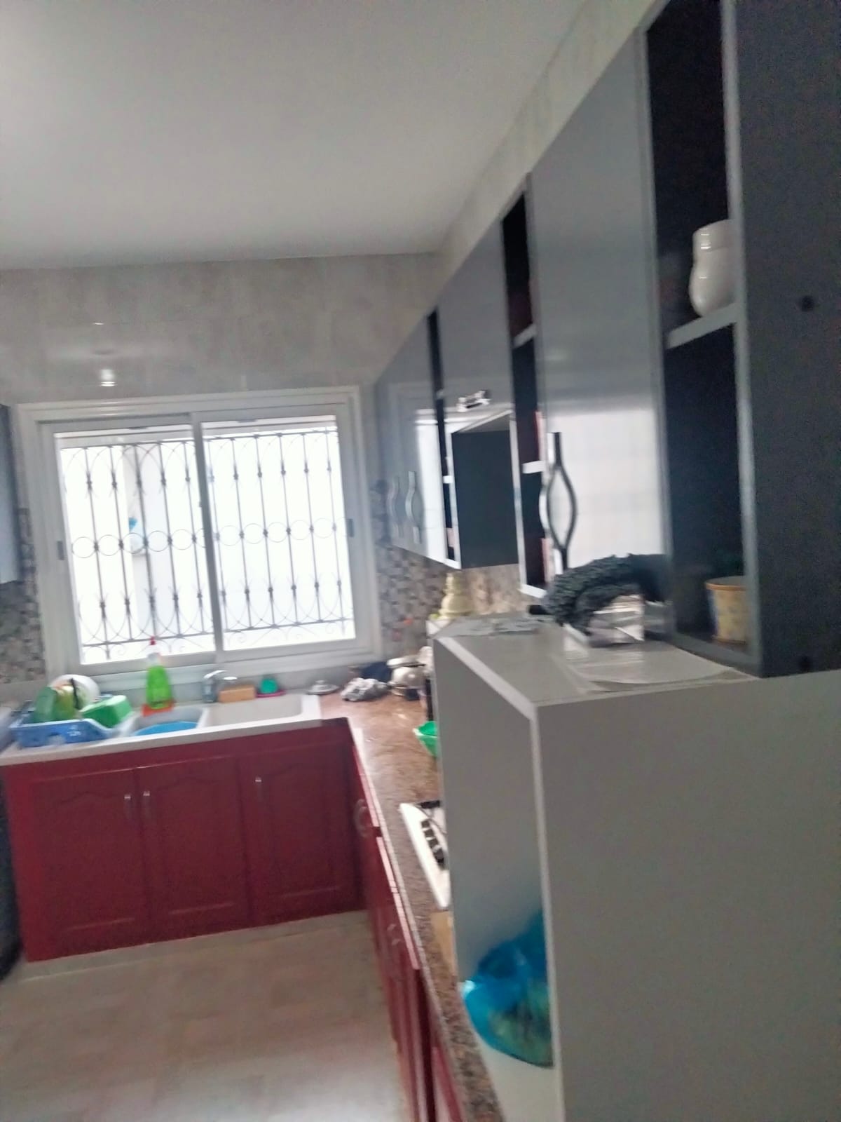 Raoued Borj Touil Vente Autre Superbe villa  borj touil