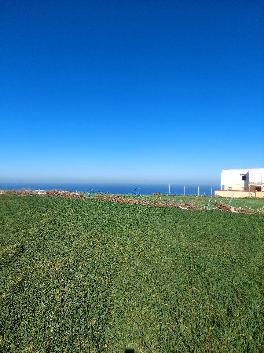 Ras Jebel Metline Terrain Terrain nu Terrain a metline