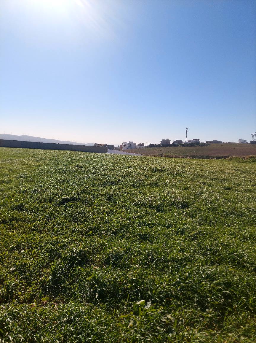 Ras Jebel Metline Terrain Terrain nu Terrain a metline