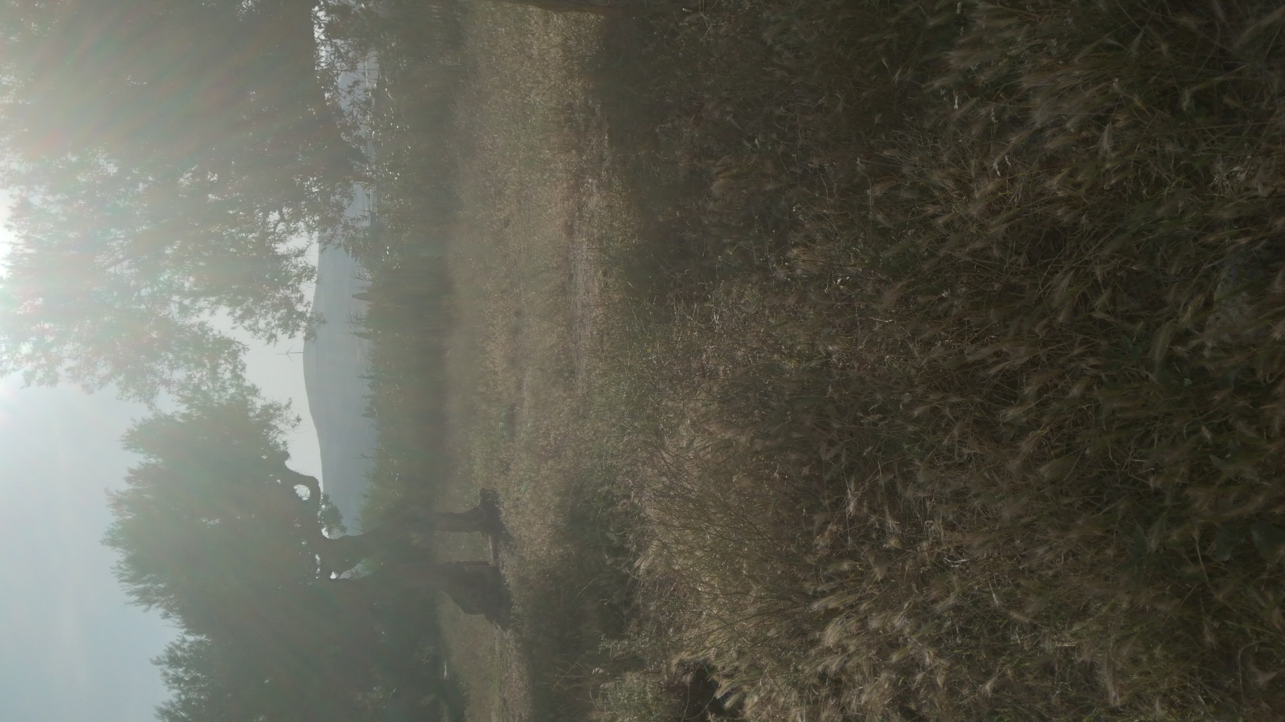 Ras Jebel Ras Jebel Terrain Terrain nu Terrain a ras jebel