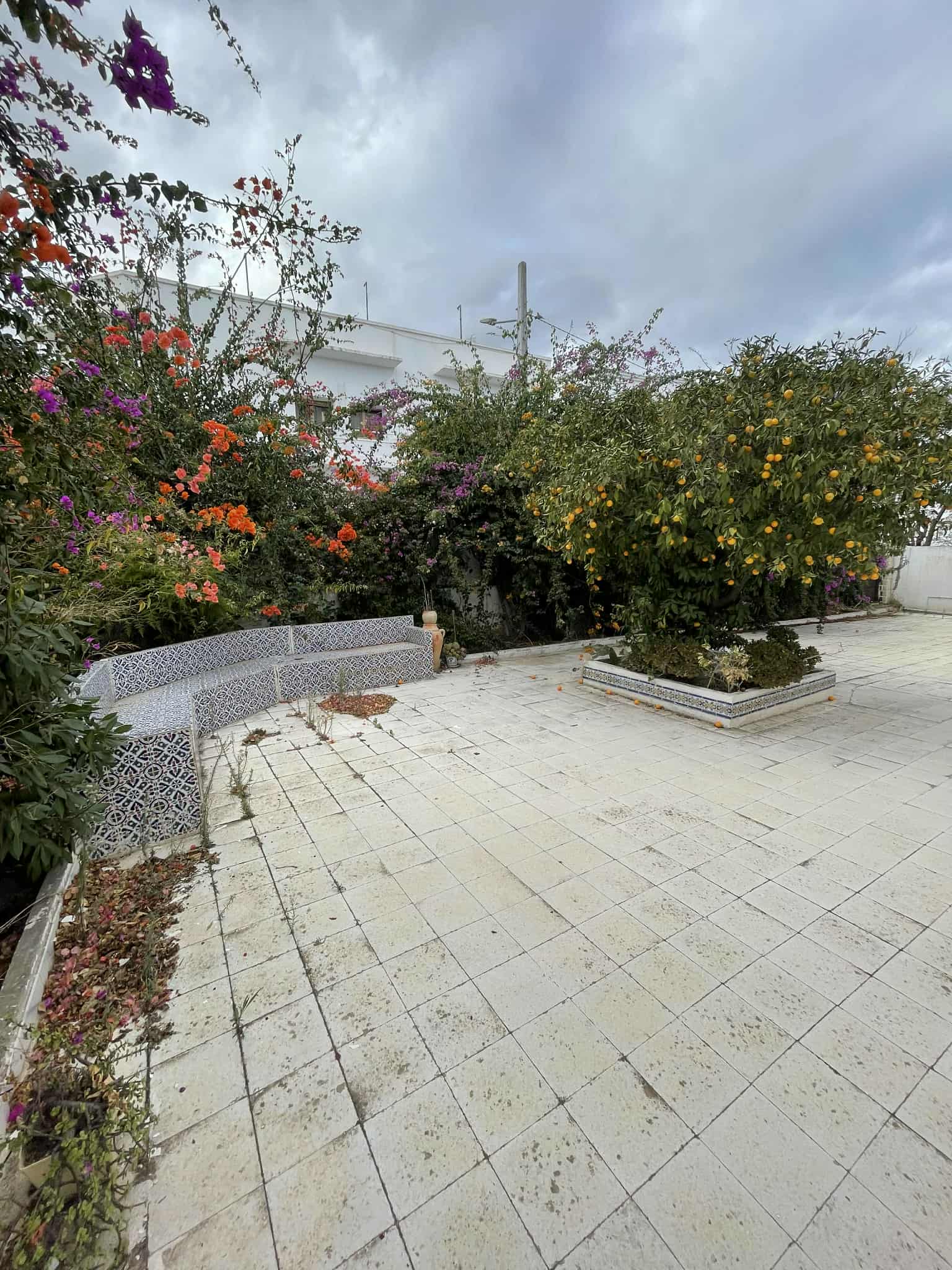 Sidi El Bechir Monfleury Vente Maisons Villa  montfleury