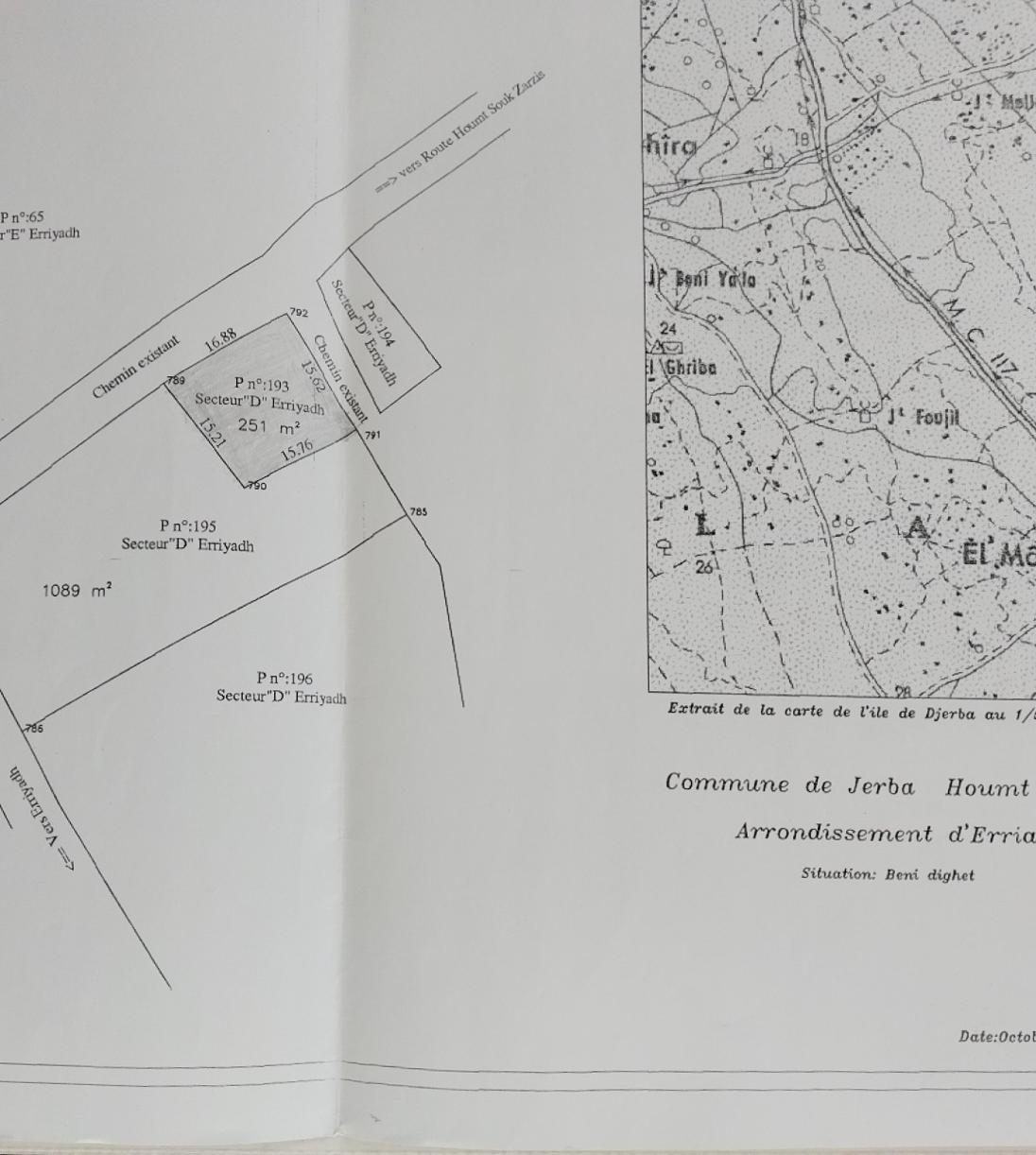 Djerba - Houmet Essouk Erriadh Terrain Terrain nu Terrain 251 m2 titr