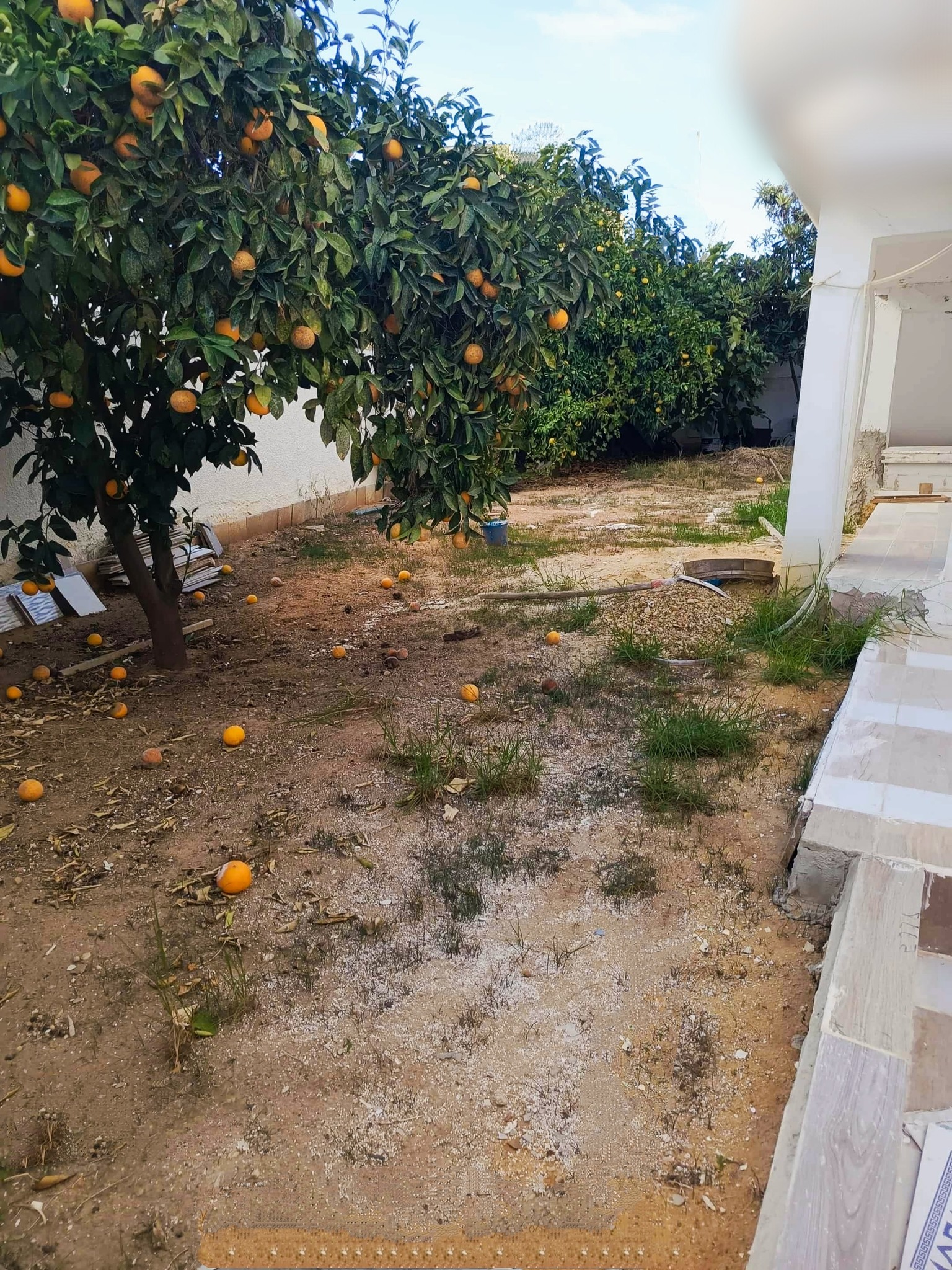 Ariana Ville Cite Ennasr 2 Location Maisons Ennasr 2 rdc villa s4 habitation ou bureau