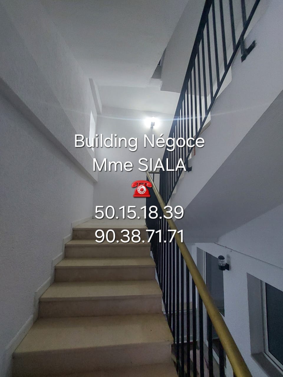 Ariana Ville Cite Ennasr 2 Location Maisons Etage villa s5 avec jardin  cit ennasr 2