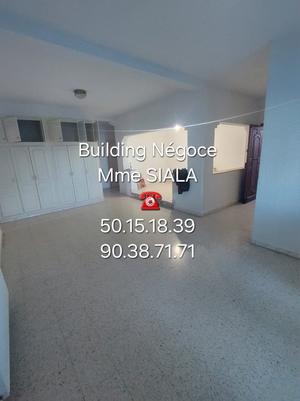 Ariana Ville Cite Ennasr 2 Location Maisons Etage villa s5 avec jardin  cit ennasr 2