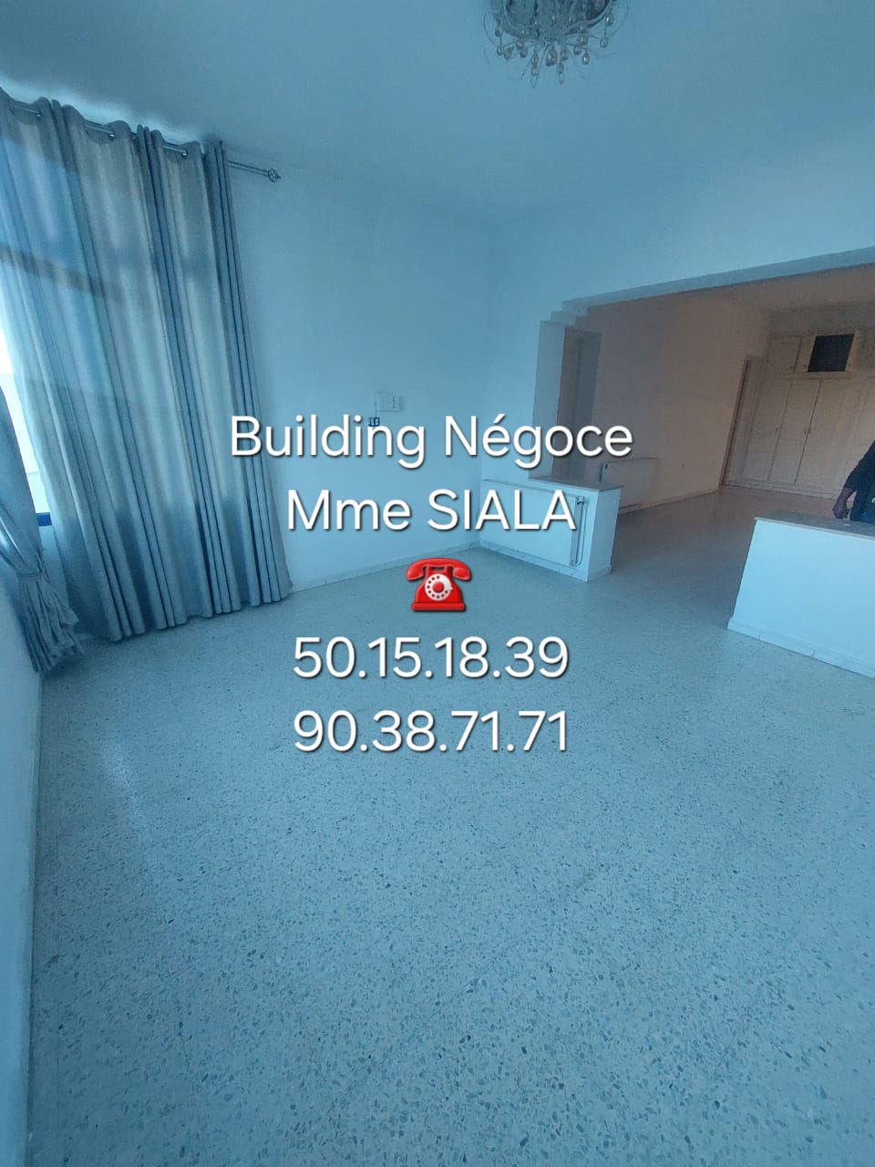 Ariana Ville Cite Ennasr 2 Location Maisons Etage villa s5 avec jardin  cit ennasr 2