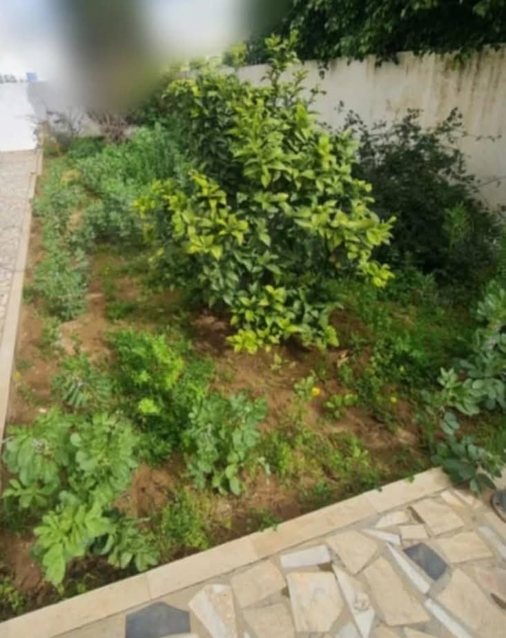 Ariana Ville Ariana Location Appart. 3 pices Ennasr 2 rdc de villa s2 bien situ