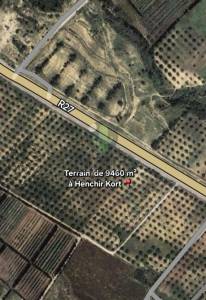 Nabeul Nabeul Vente Surfaces   terrain agricole de 9460m ref627a