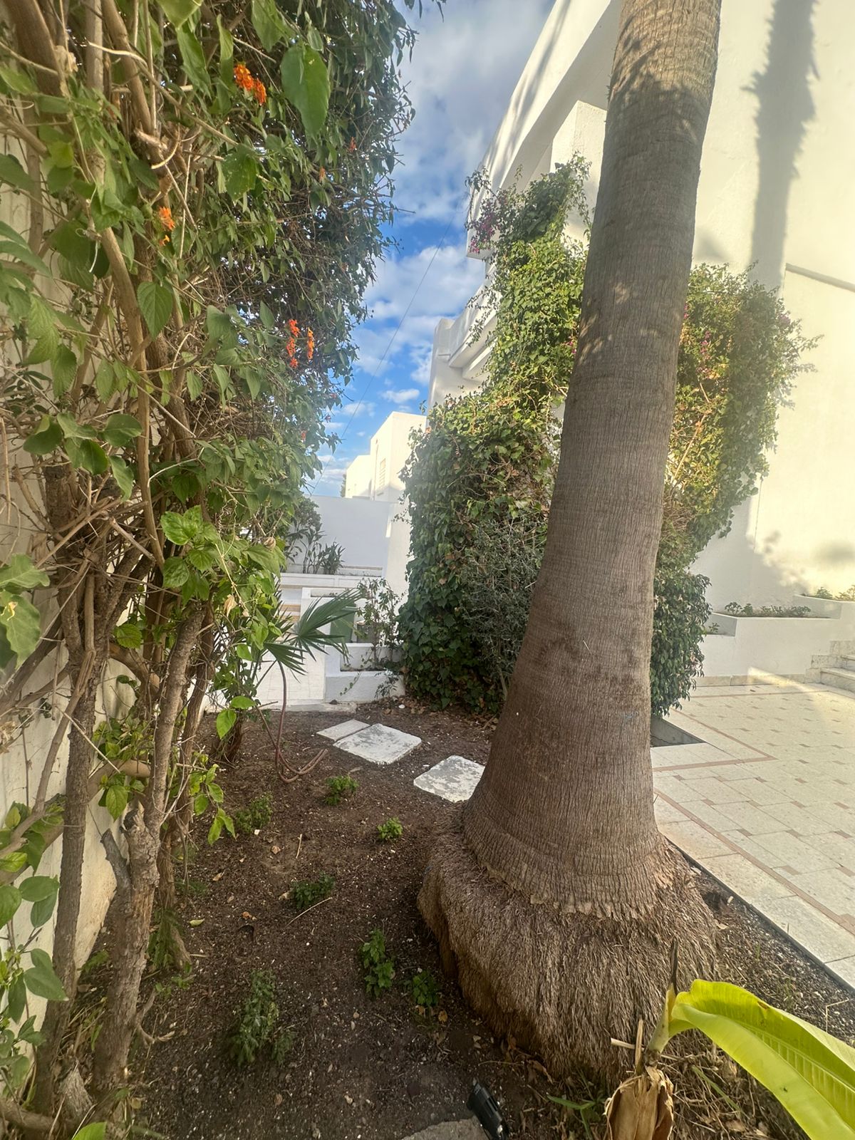 El Menzah El Menzah 9 Location Maisons Villa neuve lux 3niveaux avec jardin