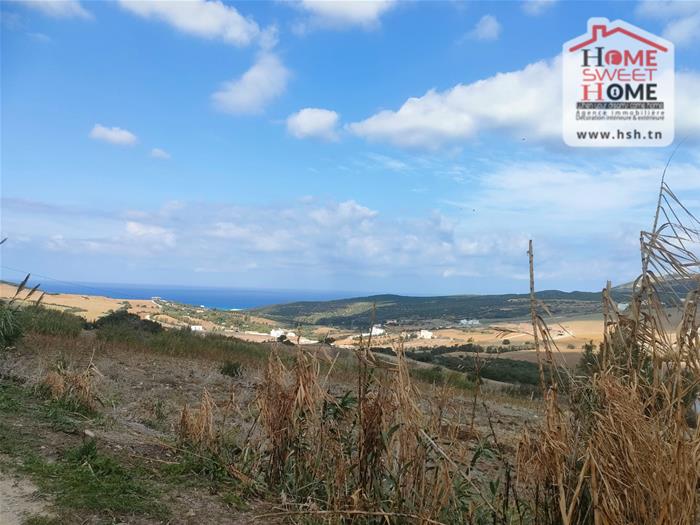 Bizerte Sud Ain El Berda Terrain Terrain nu Terrain villa elora  an berda bizerte